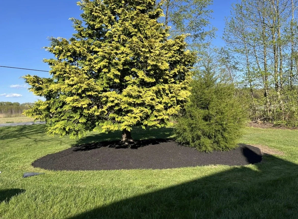 Mulch &amp; Stone Installation