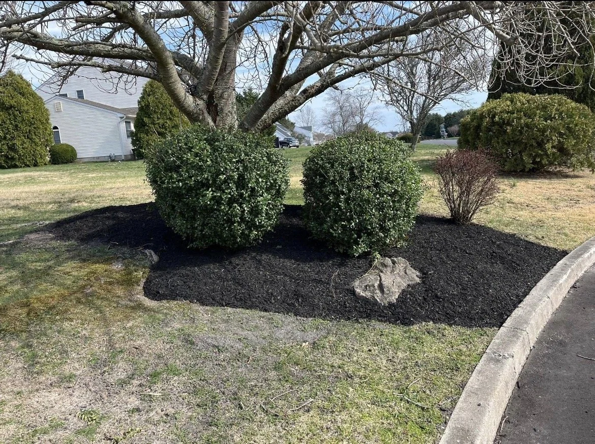 mulch.jpeg