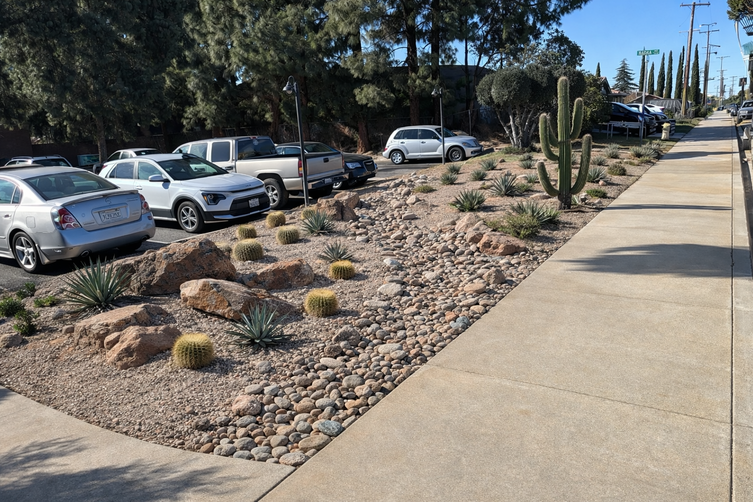 A sidewalk and parking lot with desert plants, including large cacti, smaller cacti, rocks, and gravel, under a blue sky with trees and parked cars