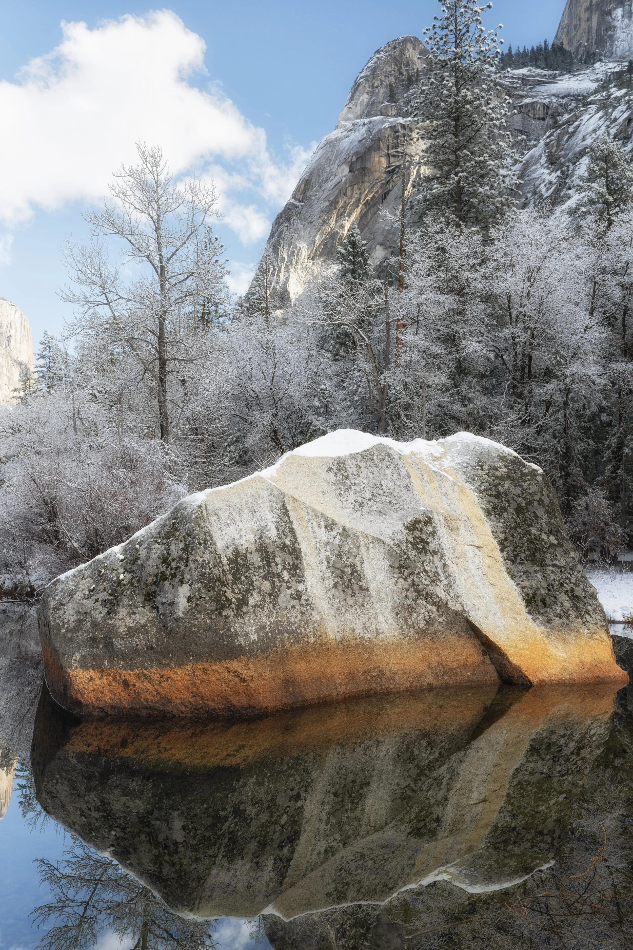 7R401402-Edit-Edit.jpg