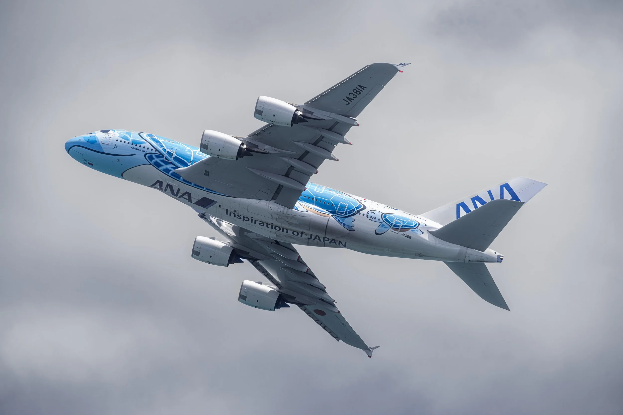 7R404712-Edit.jpg