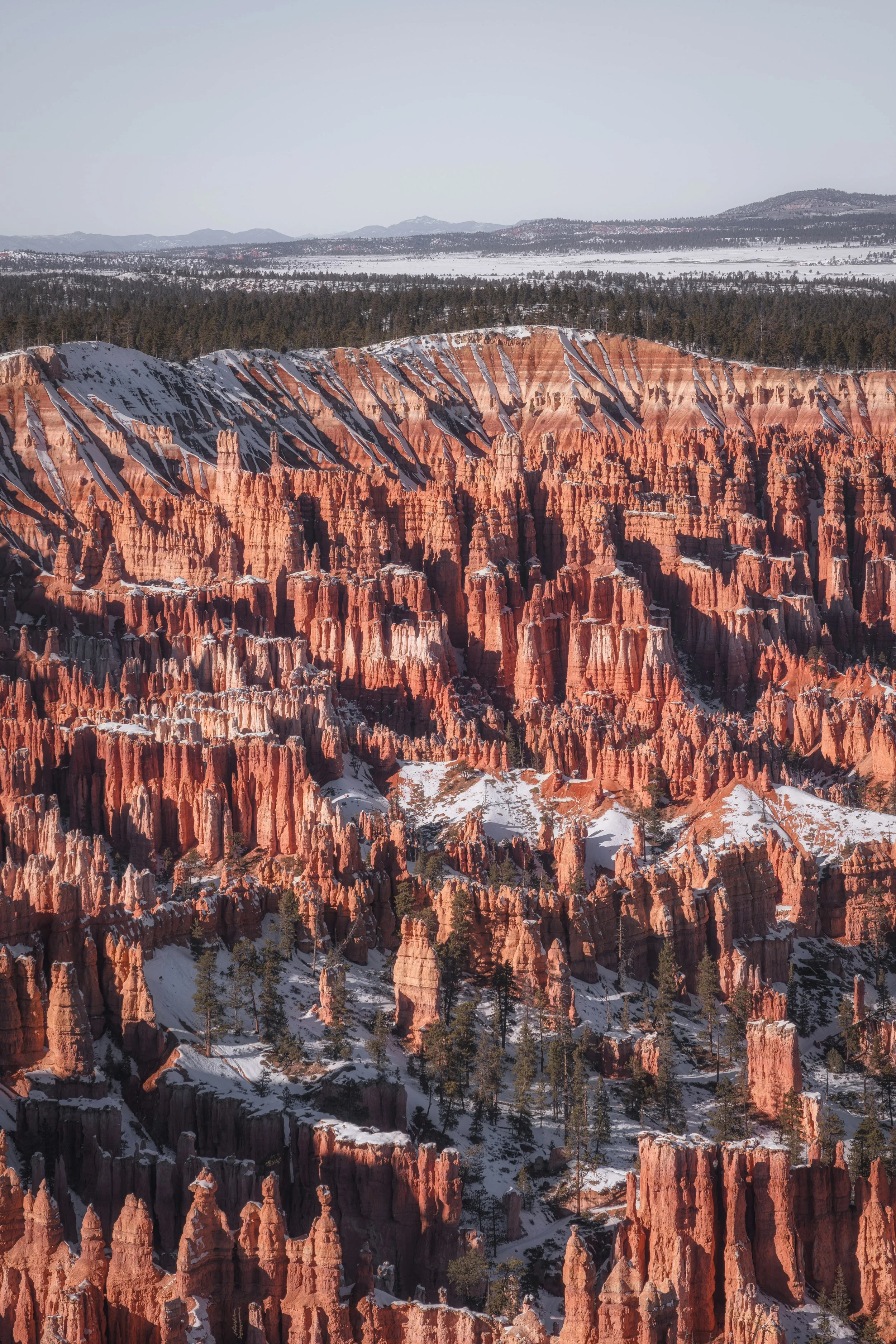 7R402144-Edit.jpg