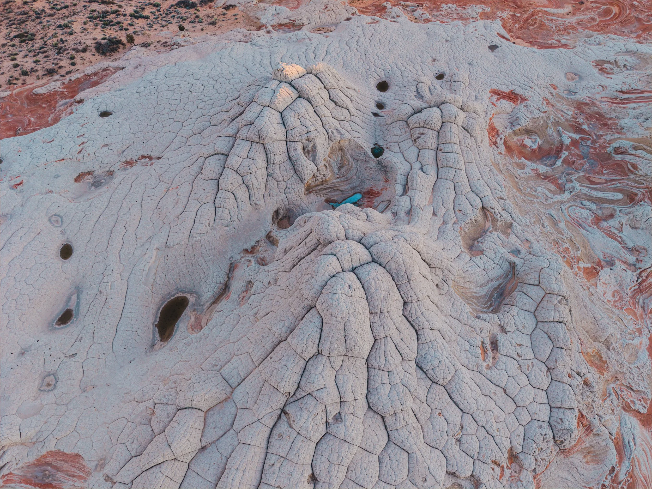 DJI_20260119163157_0198_D.jpg