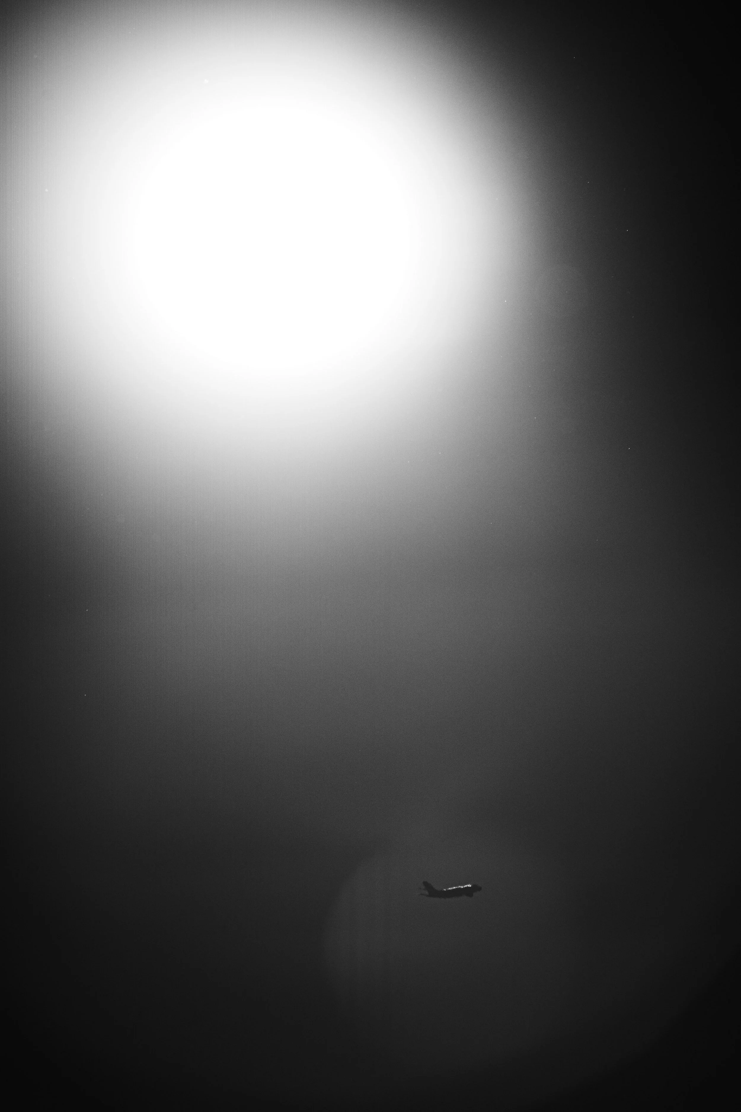 7R401640.jpg