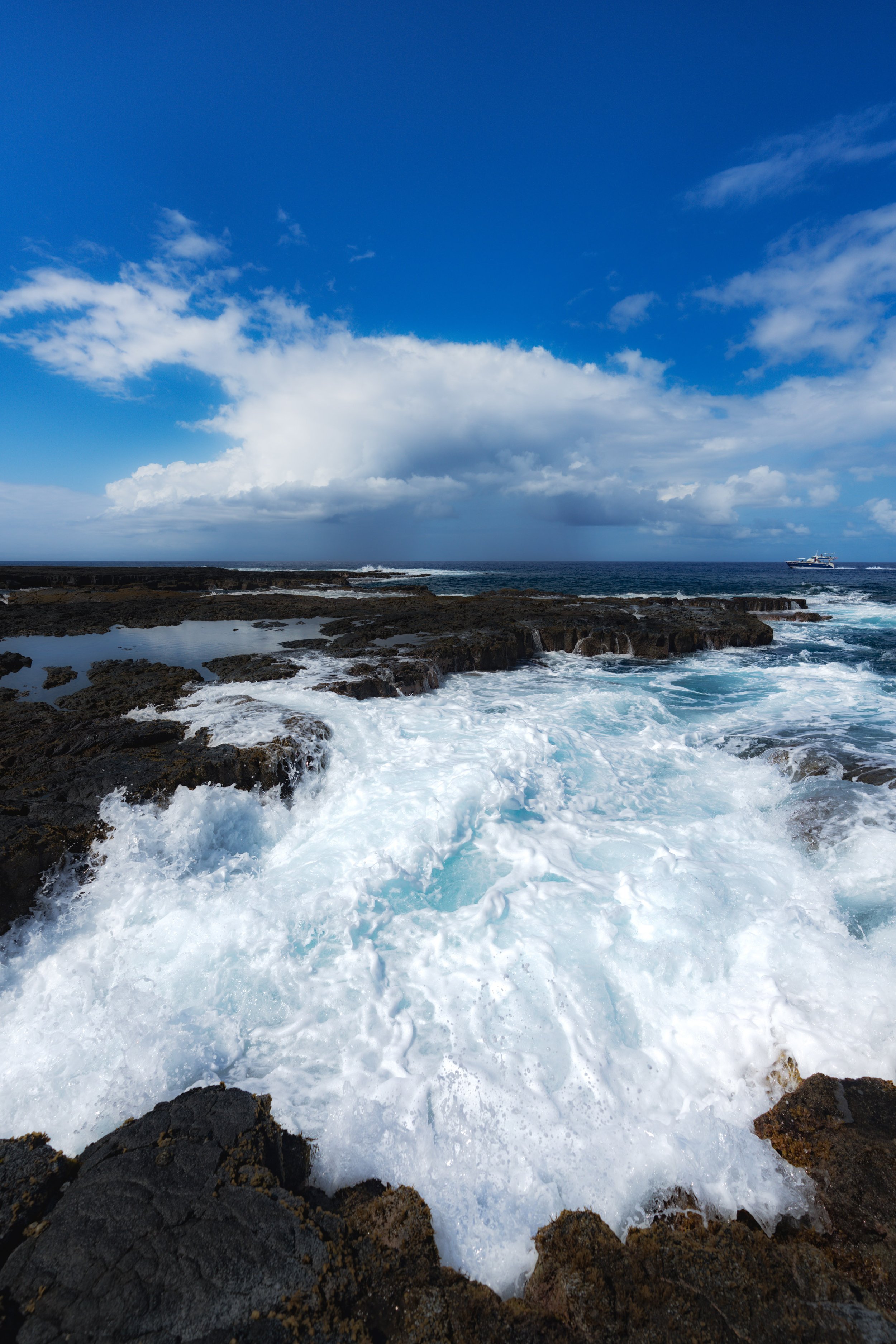 7R402098-Edit.jpg