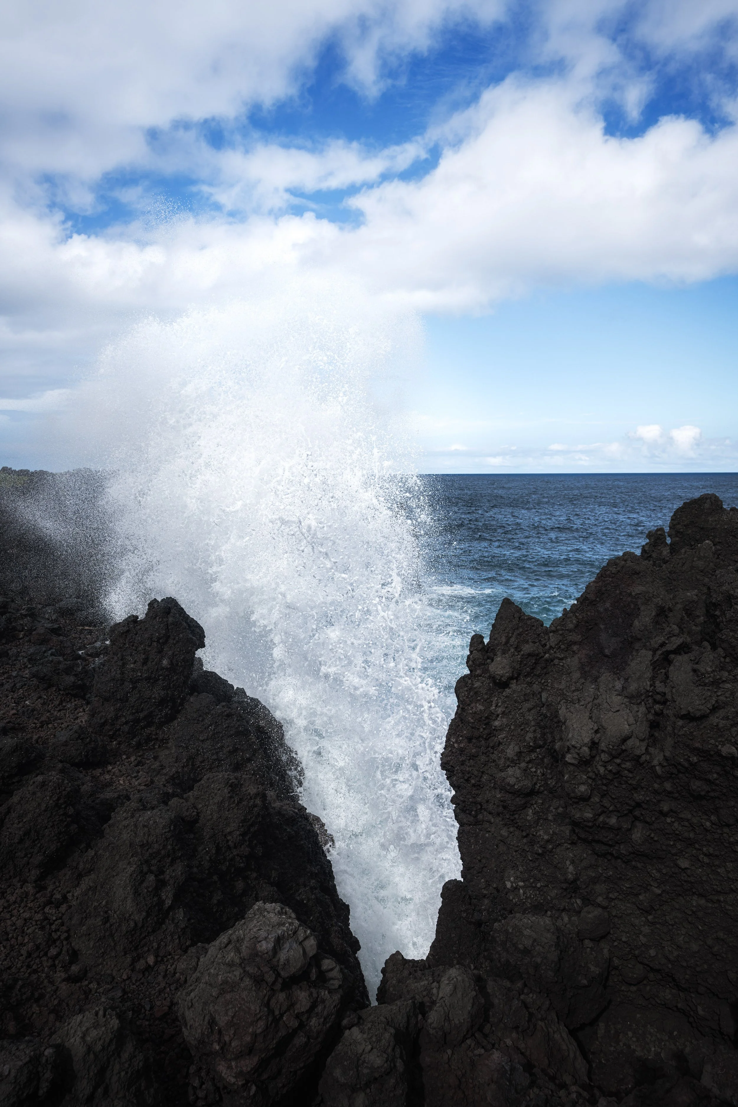 7R409972-Edit.jpg