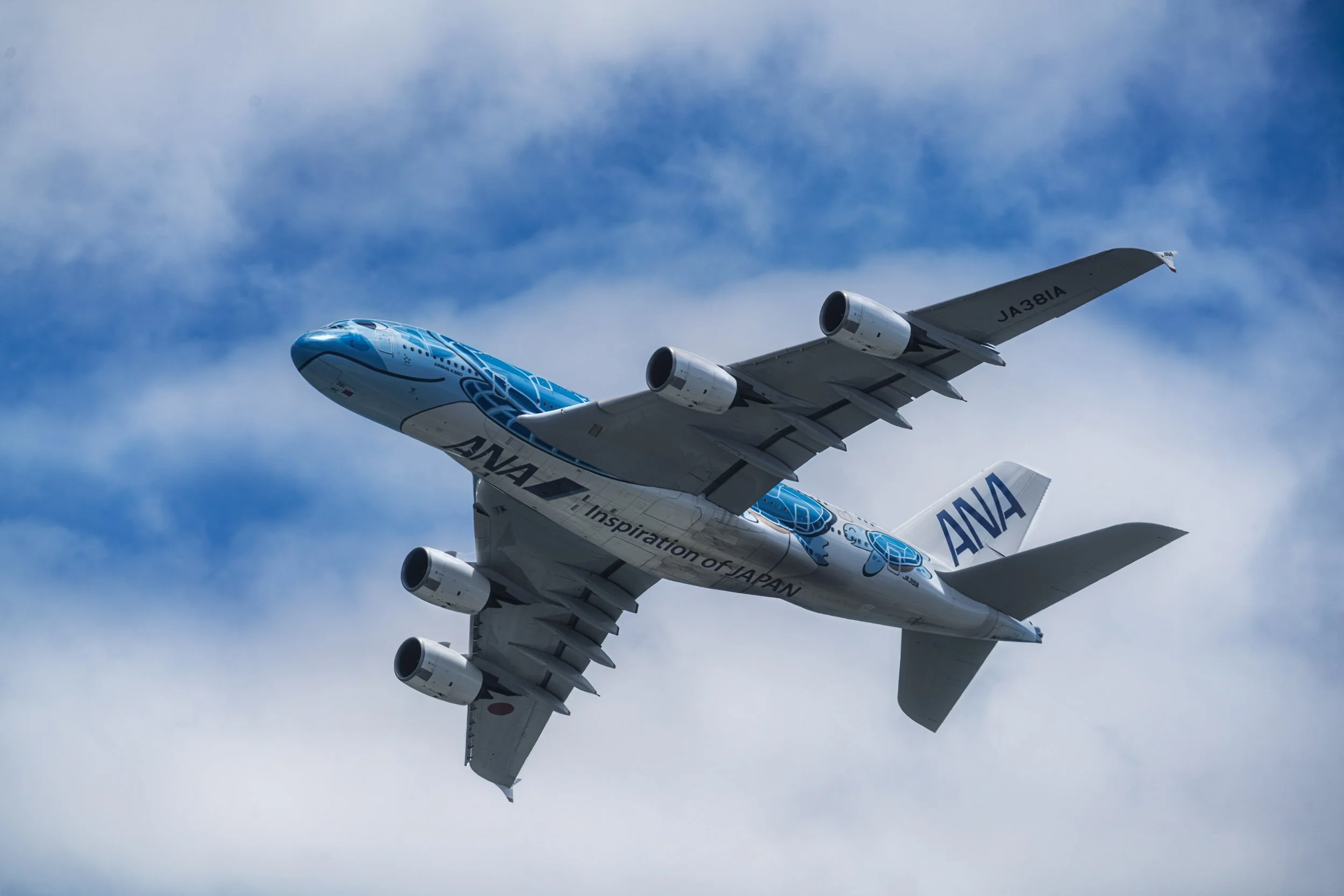 7R404699-Edit.jpg