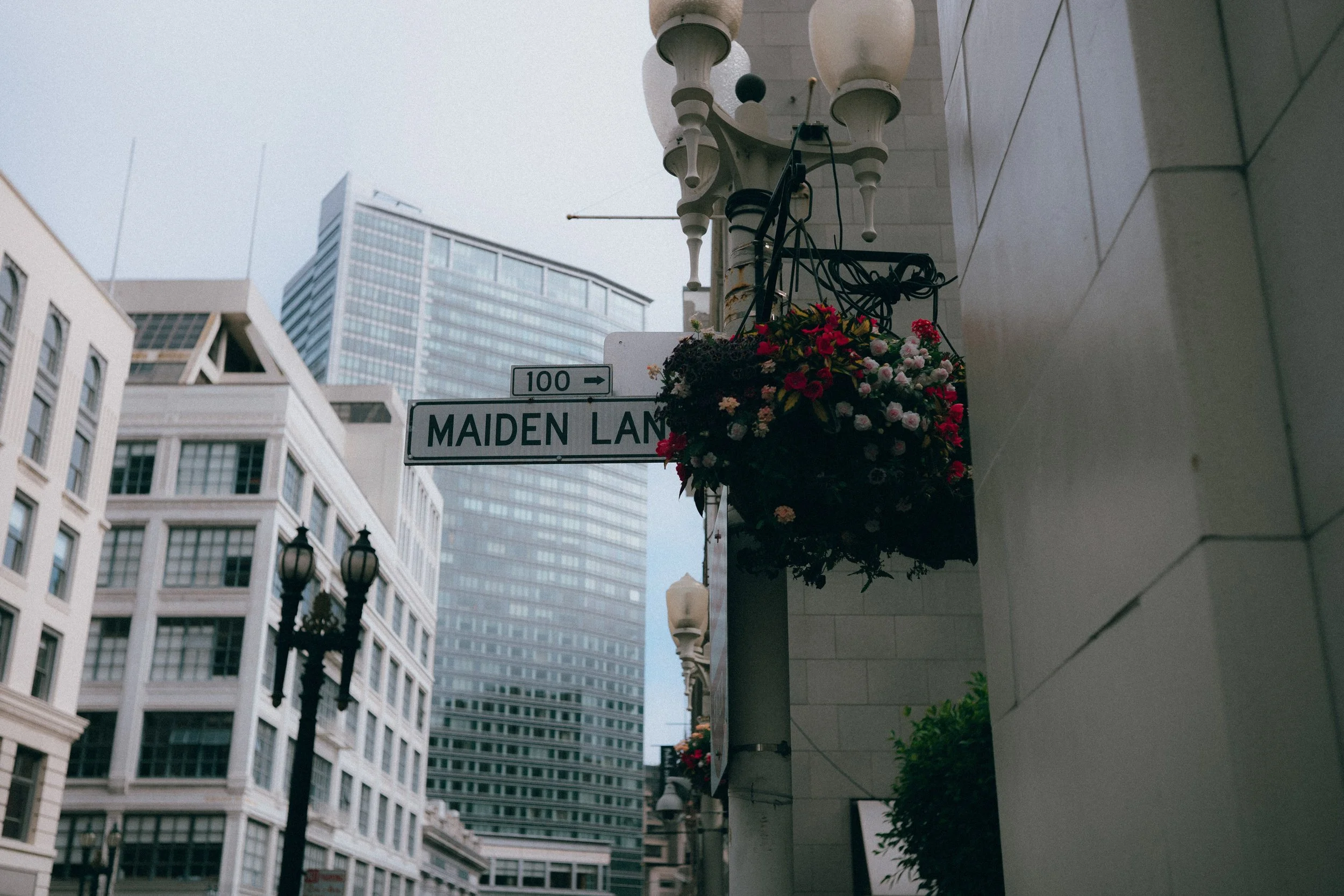 L1001575.jpg
