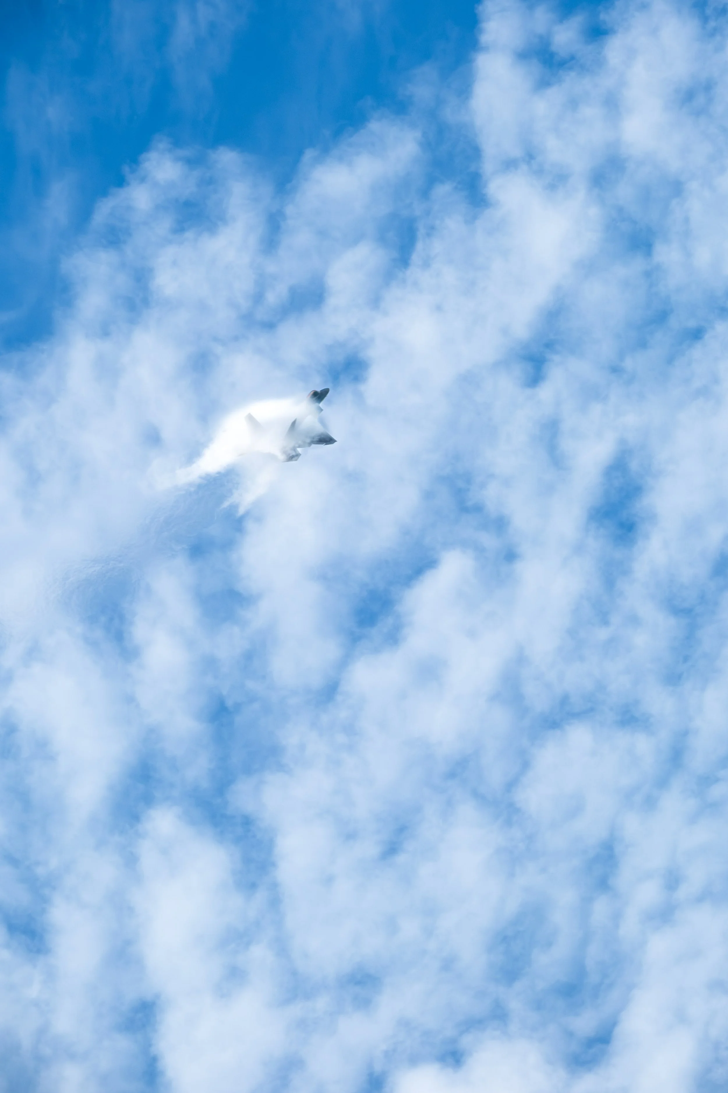 DSCF5834.jpg
