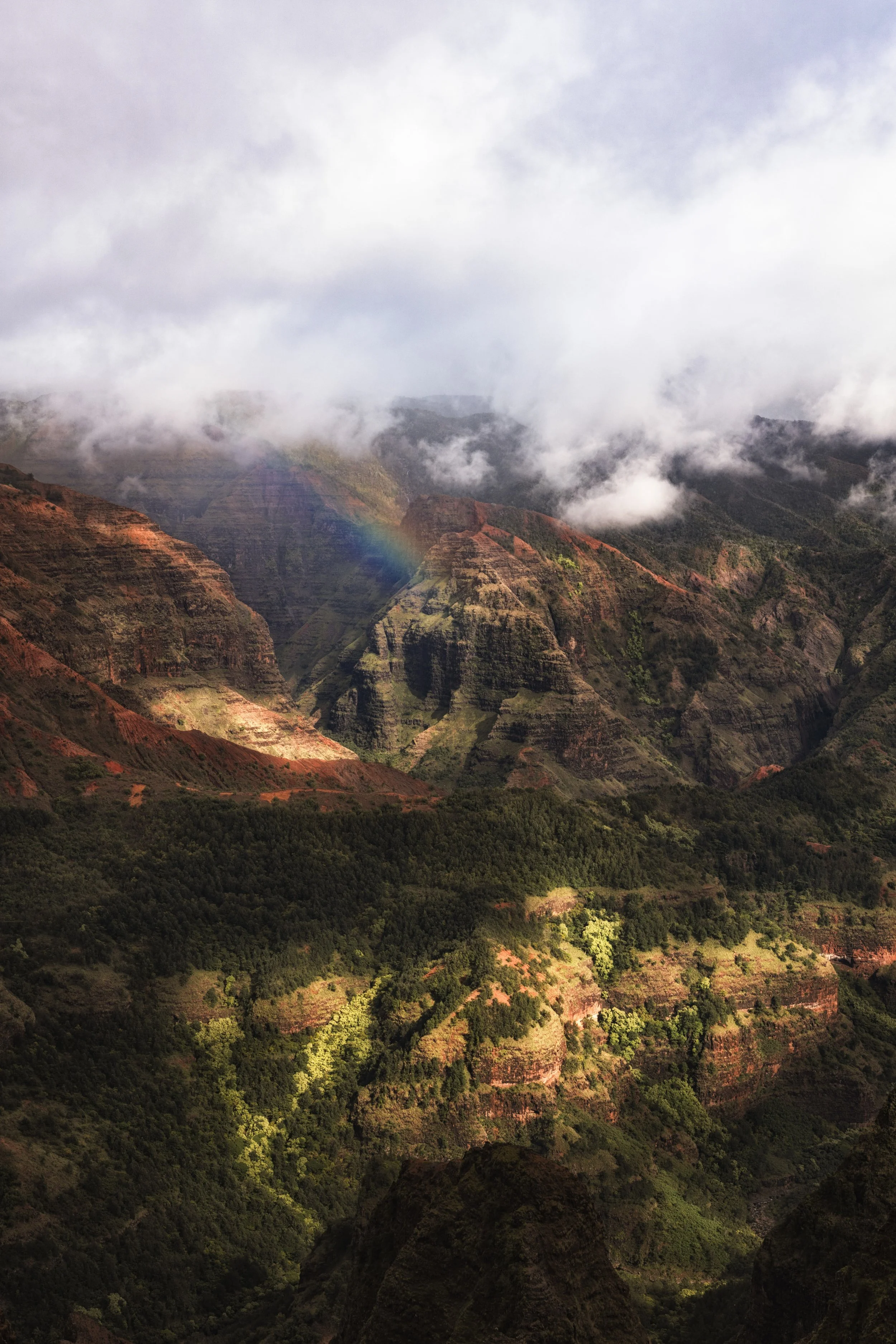 7R408255-Edit.jpg