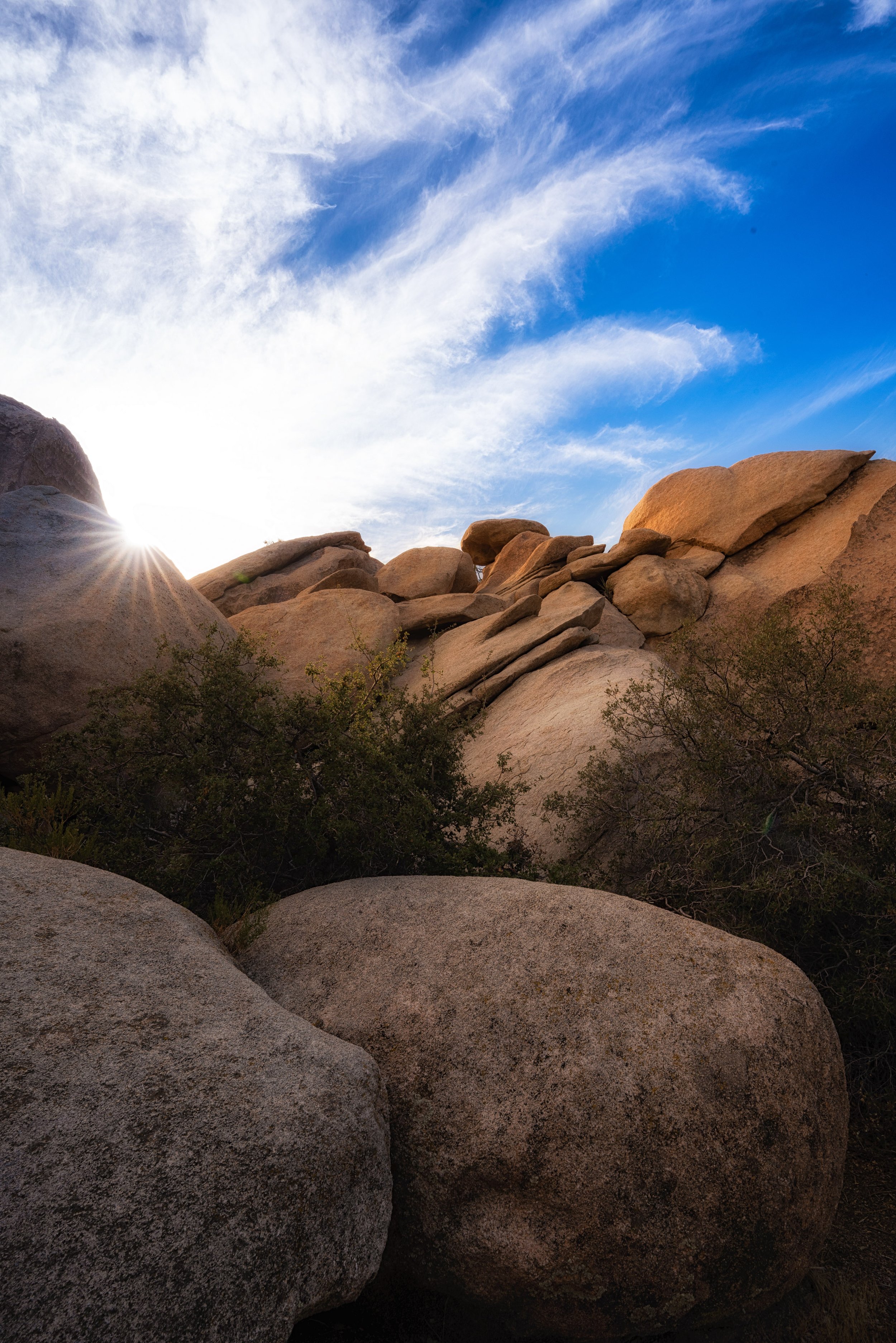 7R306208-Edit.jpg