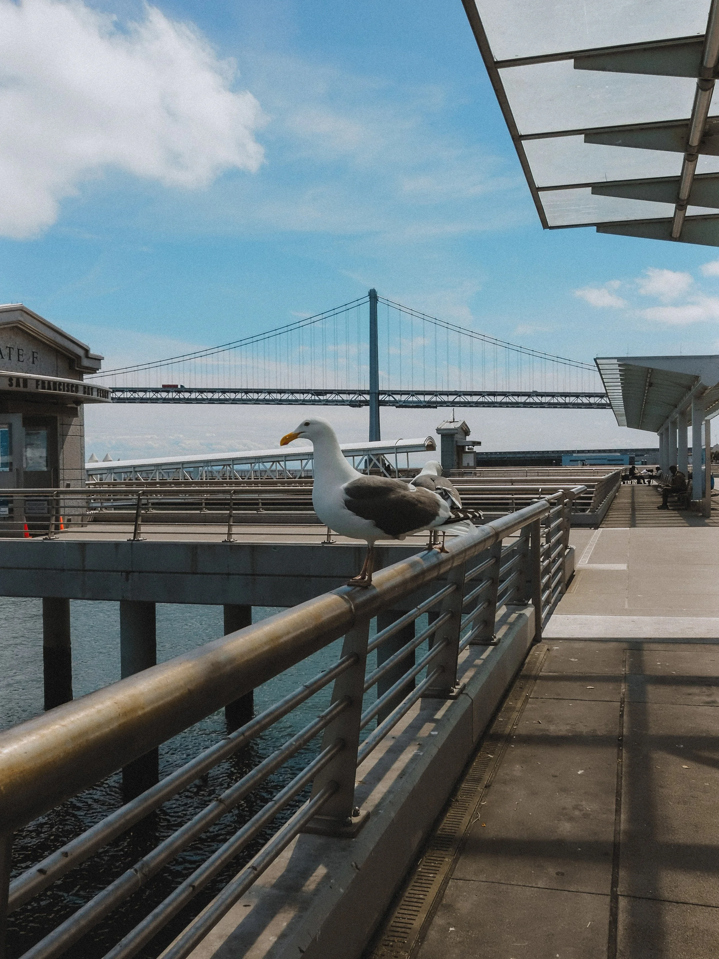 DSCF8914.jpg