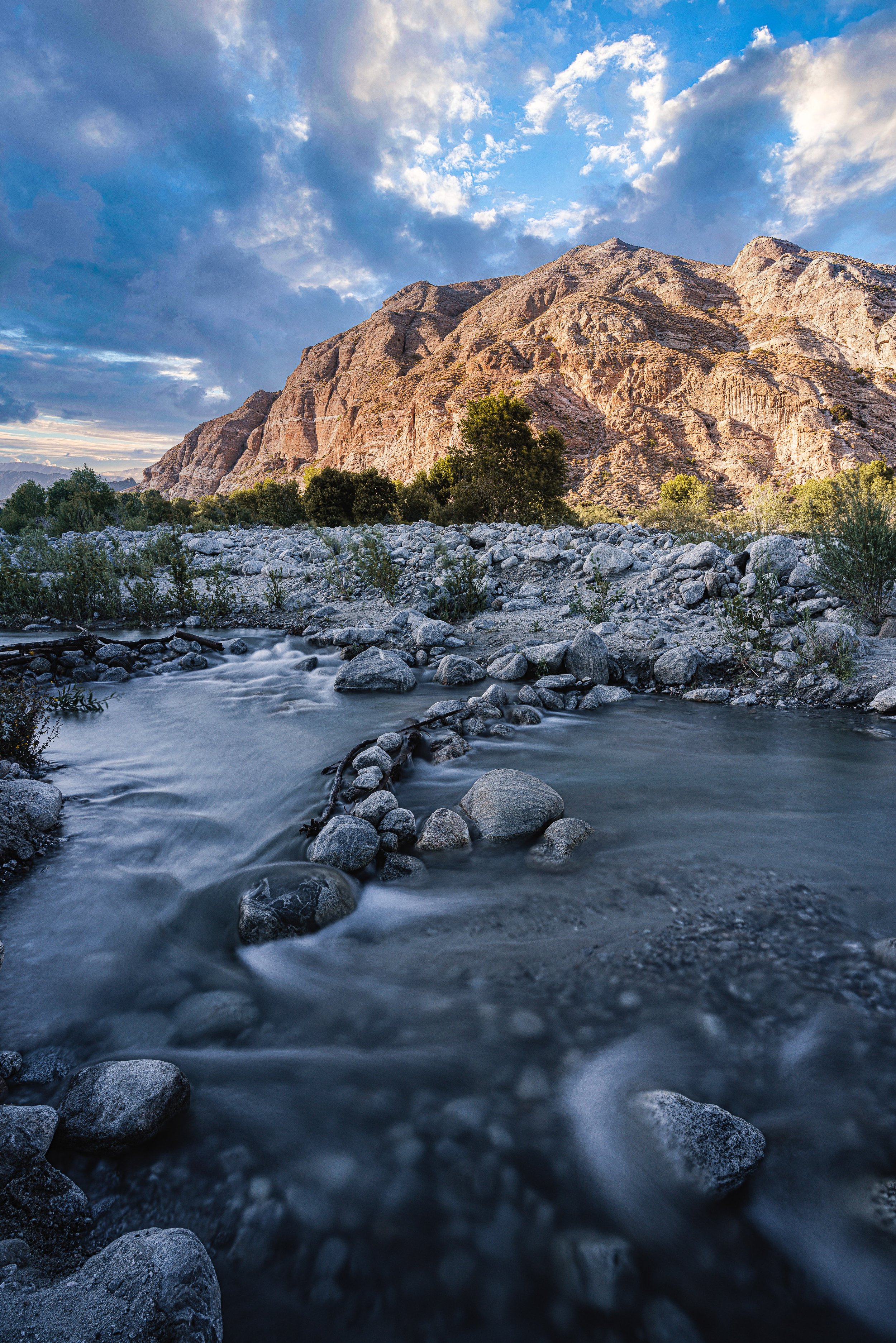 7R305234-Edit-Edit.jpg