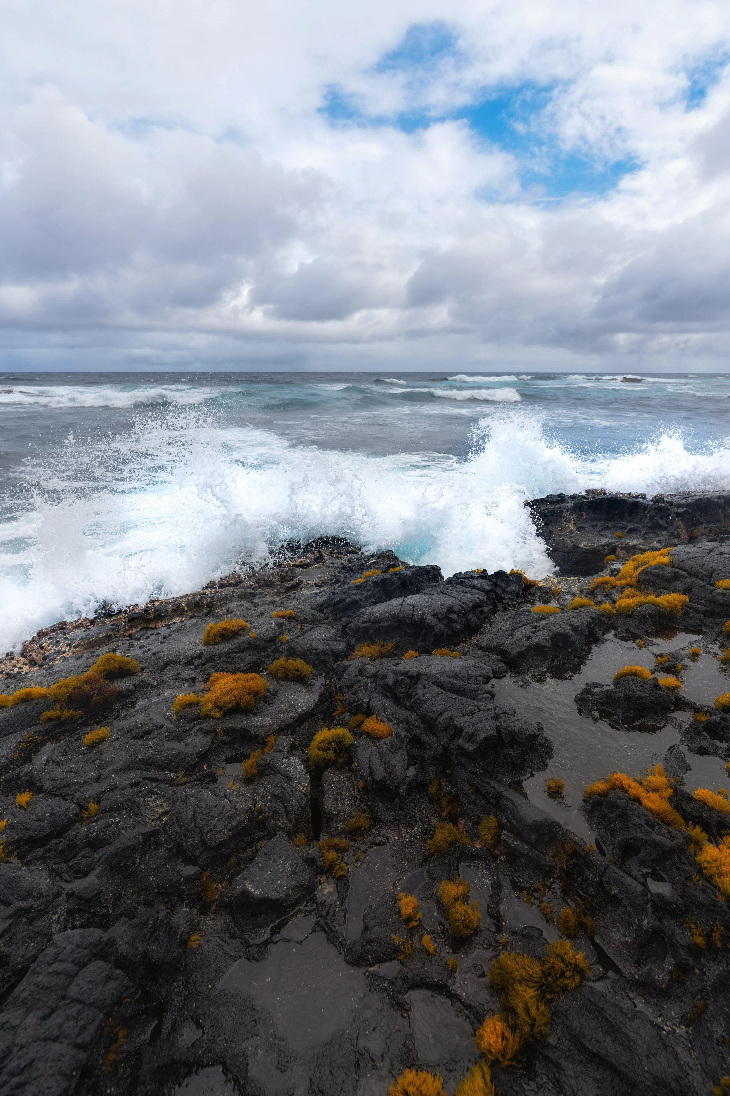 7R402180-Edit-2.jpg