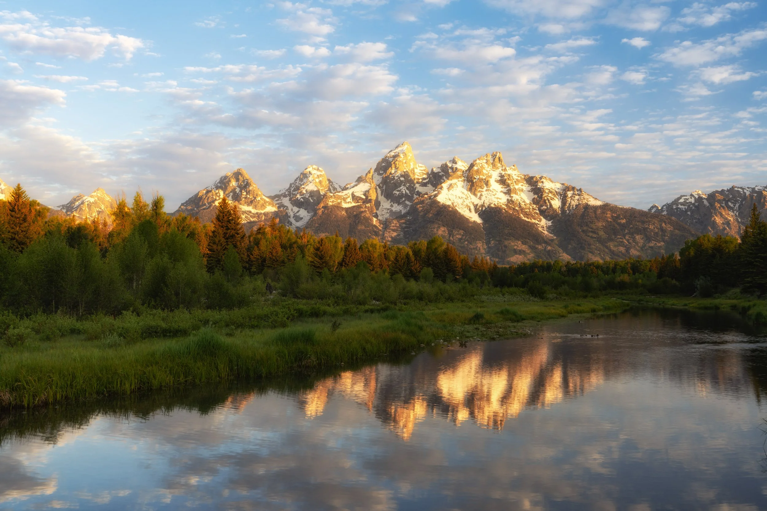 7R403555-Edit.jpg