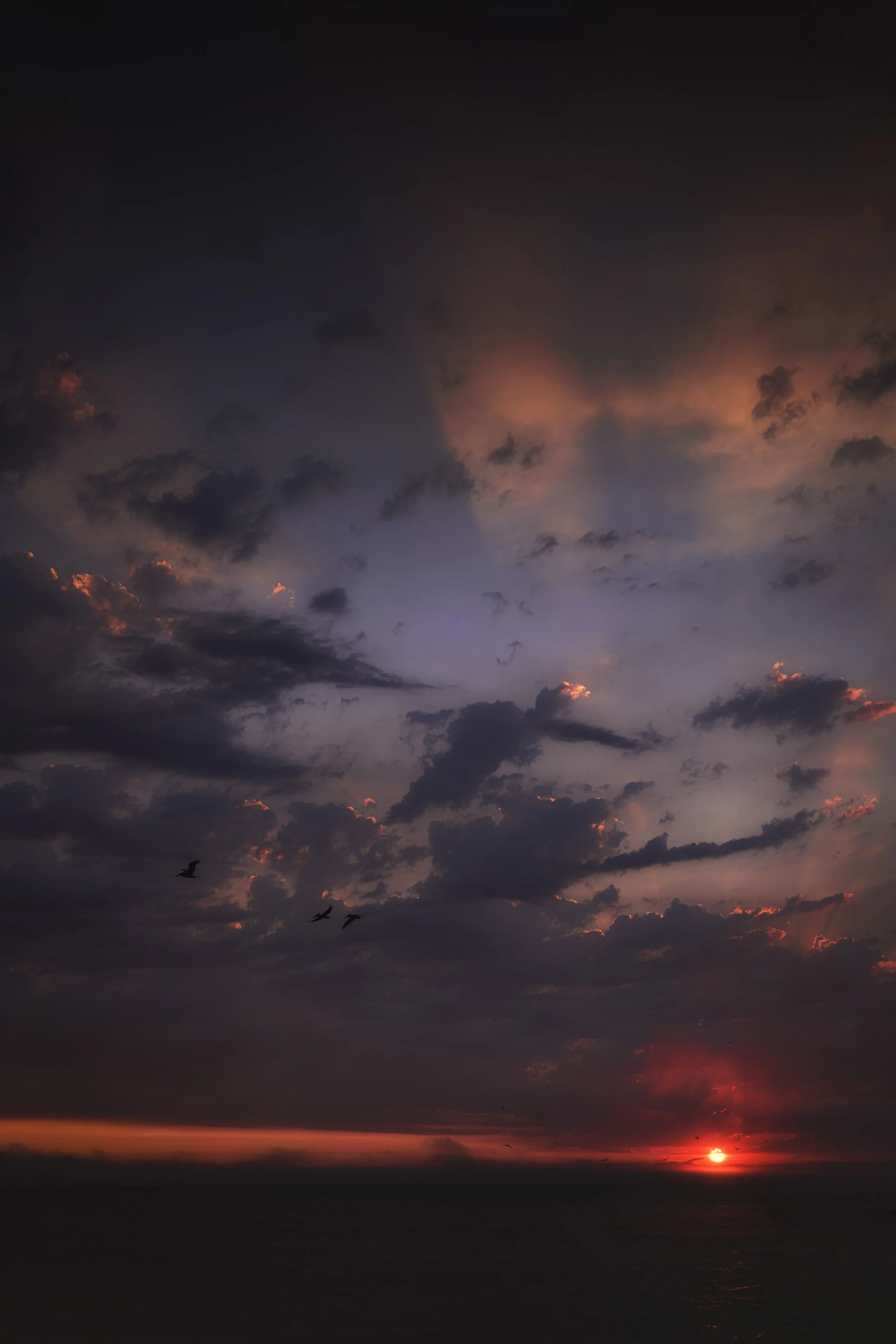 7R307795-Edit.jpg