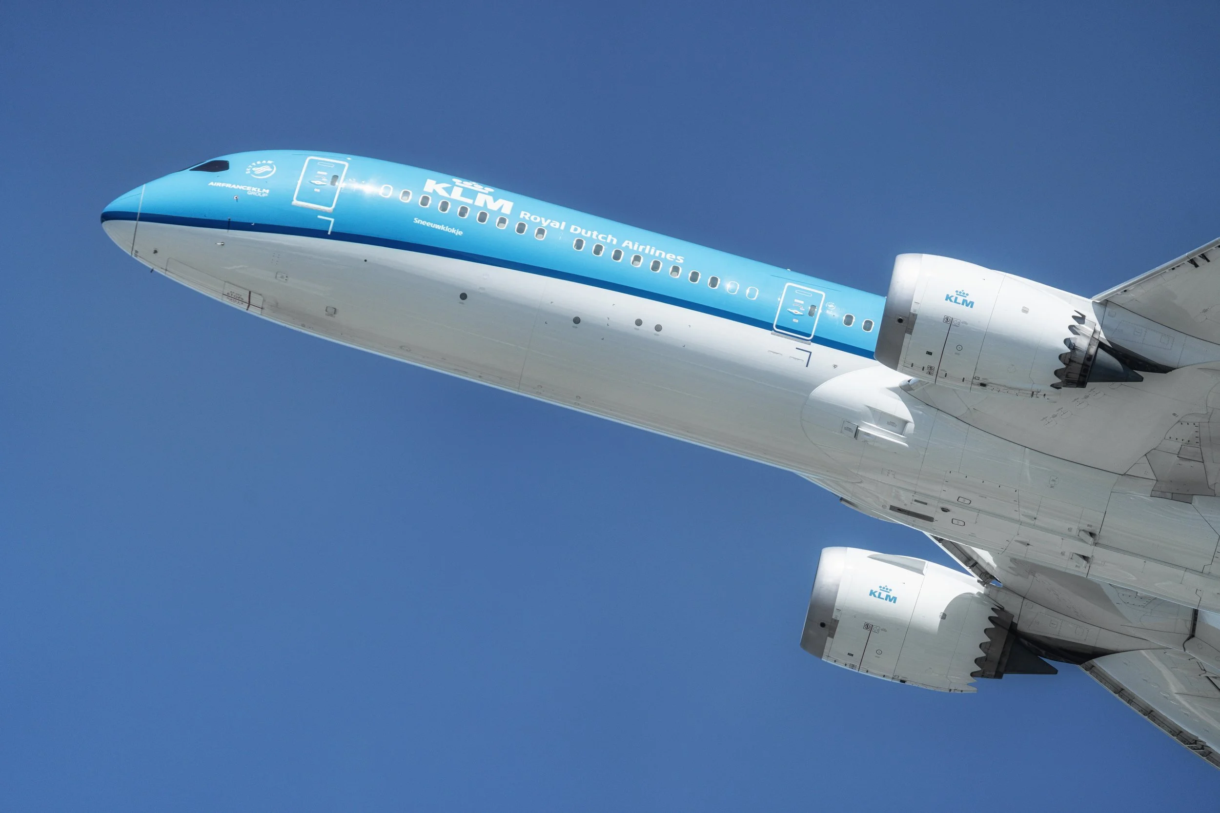 7R404599-Edit.jpg