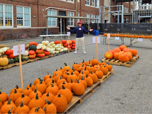 pumpkins3.png