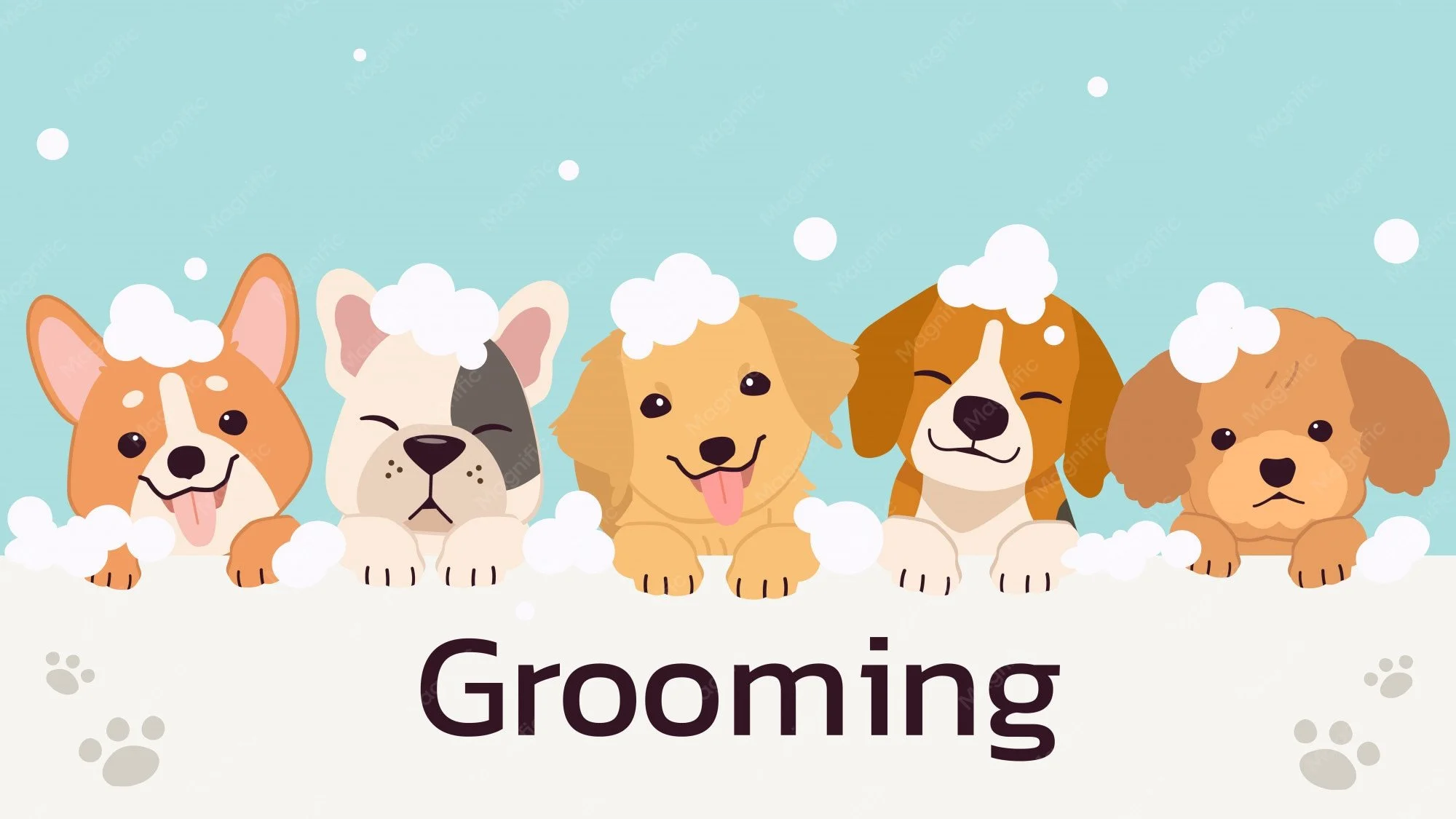 Cartoon illustration of five dogs with soap bubbles foam on their heads, promoting grooming.