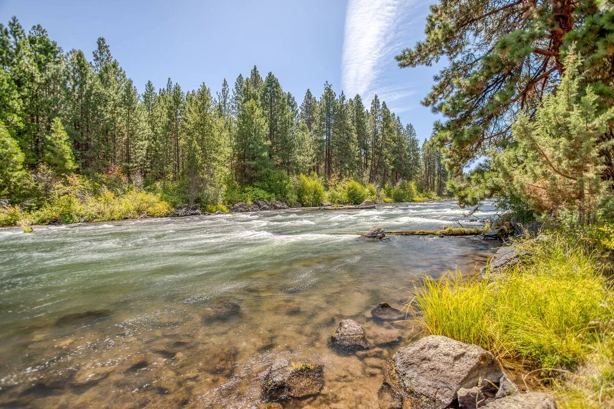 A peaceful river flowing through a forested area with green trees, shrubs, rocks, and grass under a blue sky with some clouds.