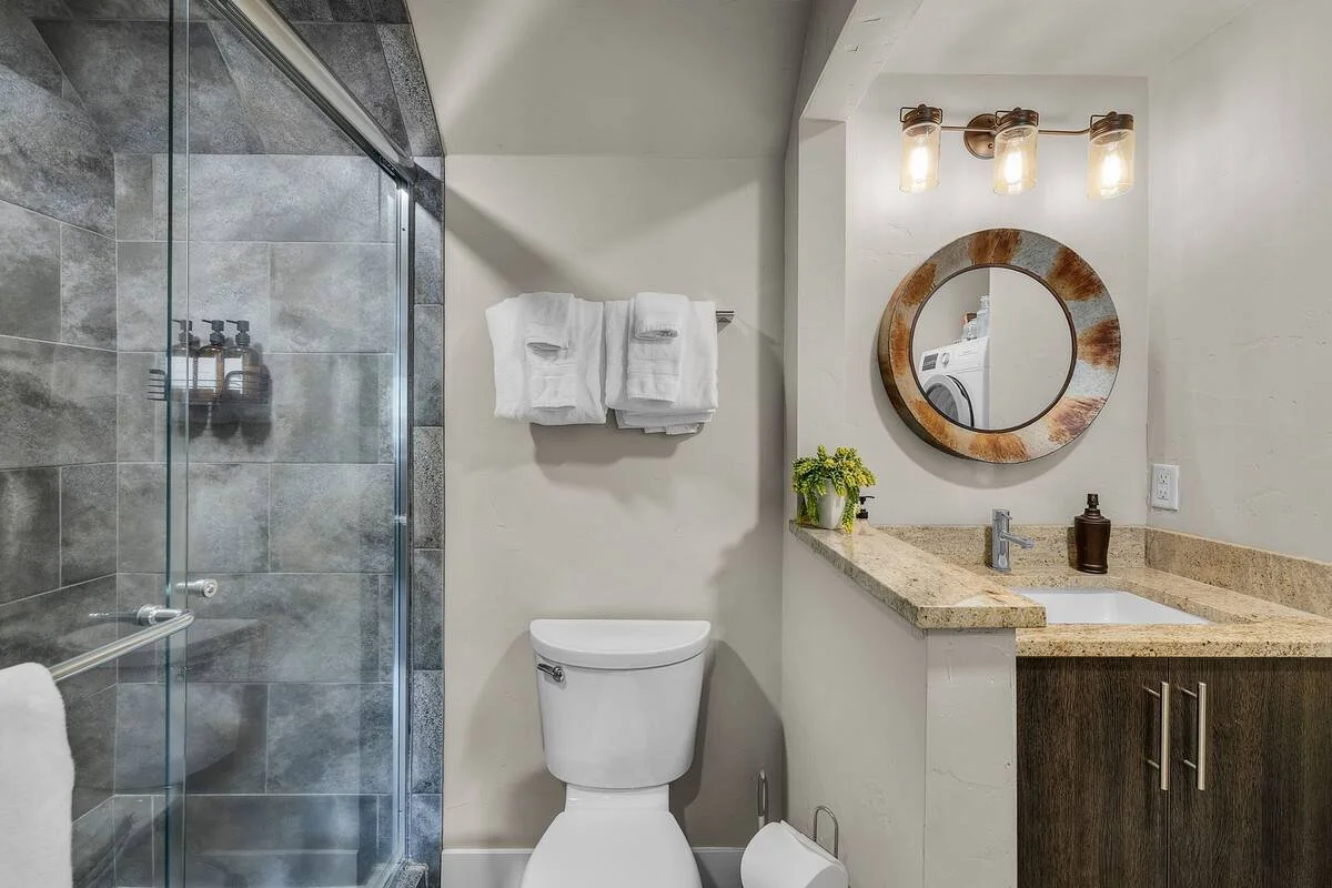 Bathroom with shower, toilet, granite countertop with sink, mirror, light fixture, towels, and decorative plant.