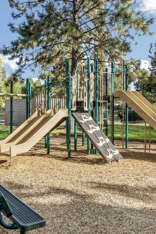 Playground with slides, climbing ramp, and jungle gym structure under a large tree in a park.