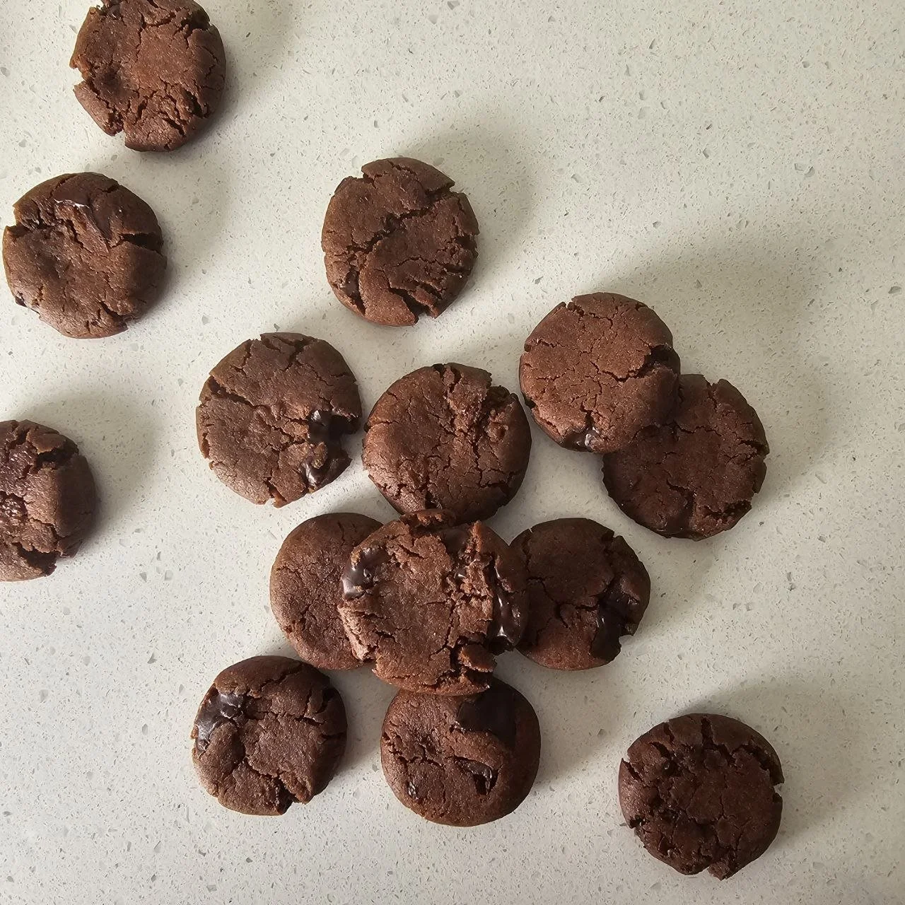 Double Chocolate Chip Cookies