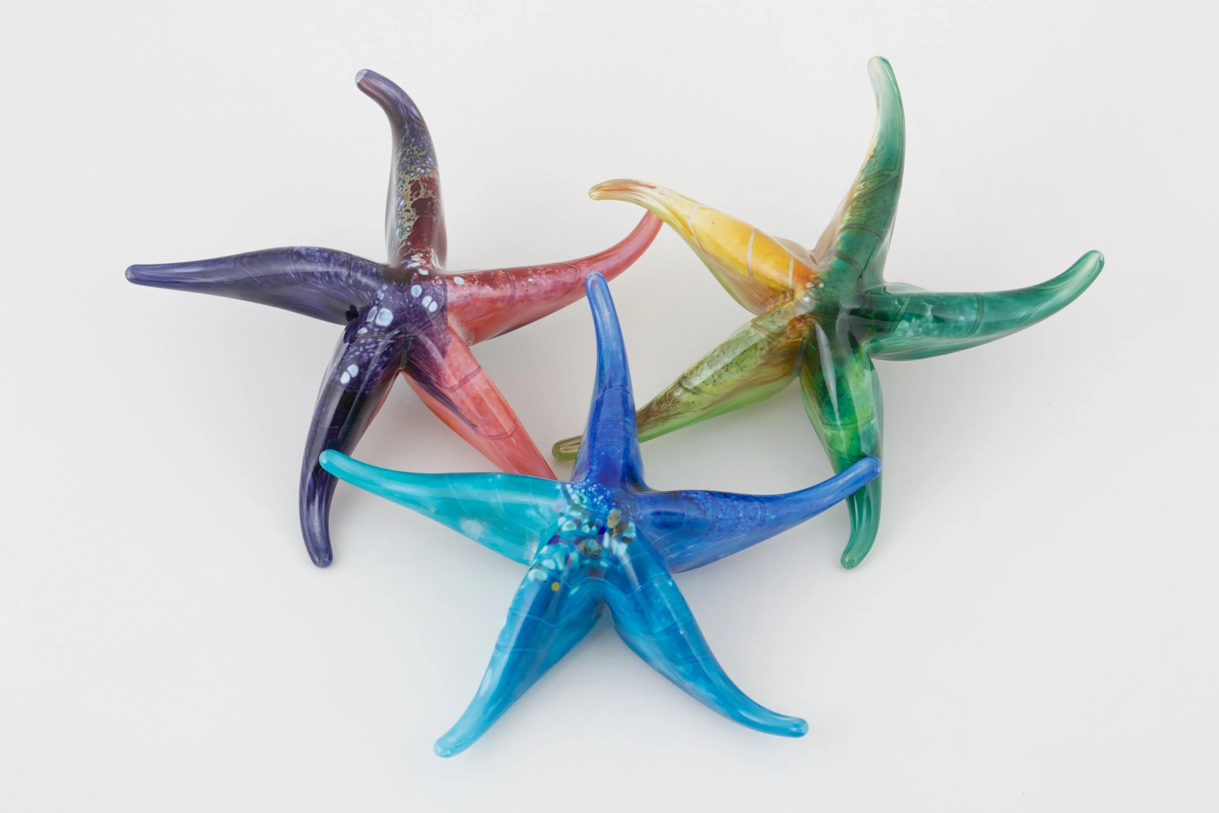 Starfish 2014 (1).JPG