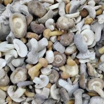 Mix Mushroom