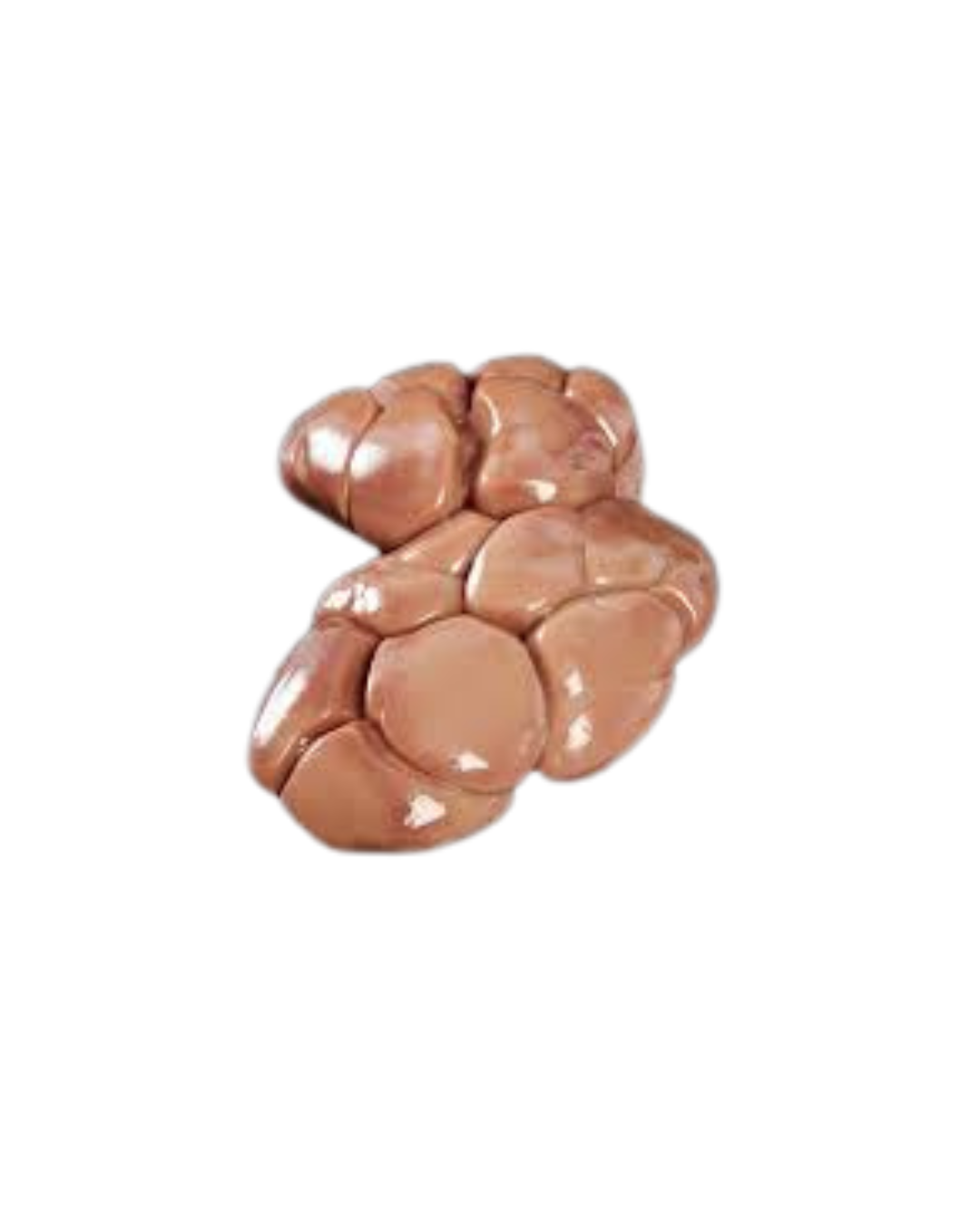 Veal Kidney (Rognon de Veau)