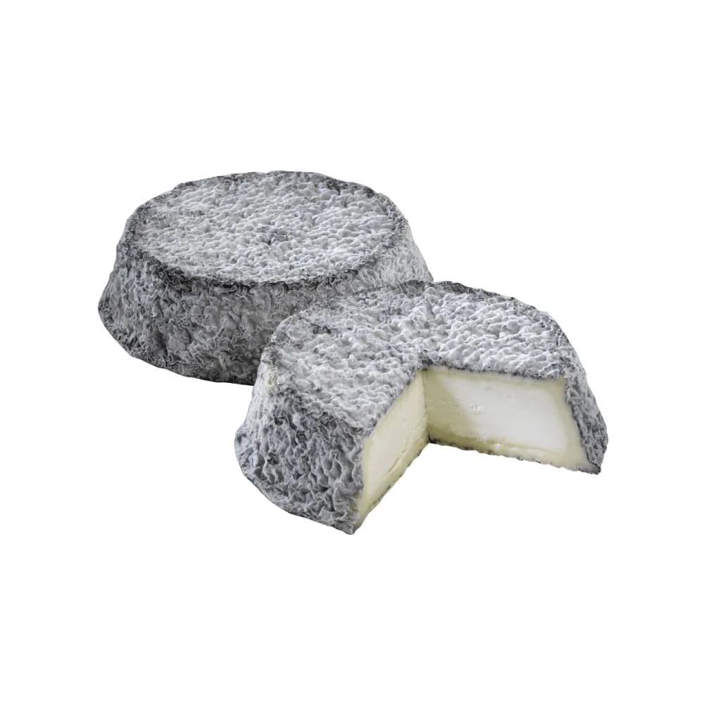 Selles sur Cher