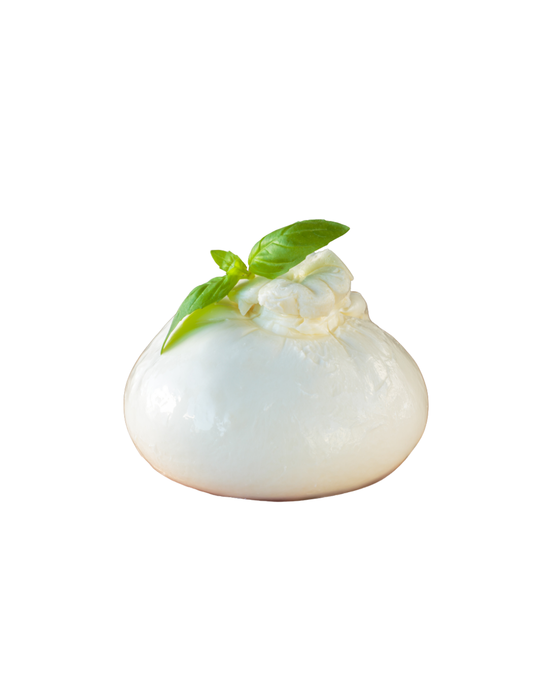 Burrata