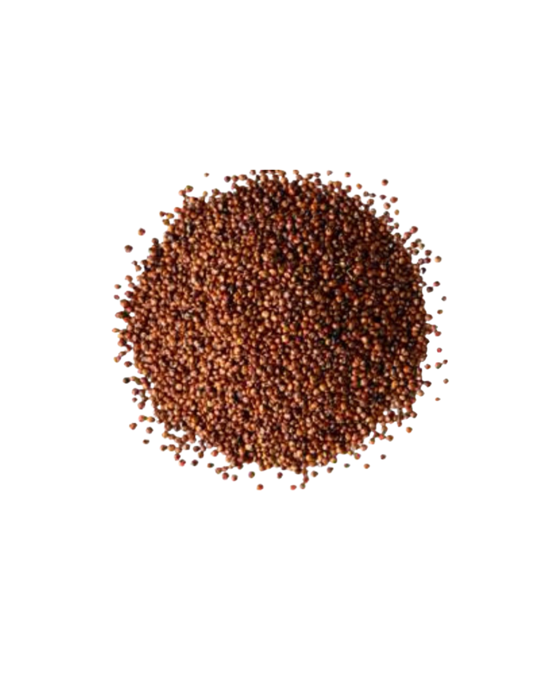Red Quinoa