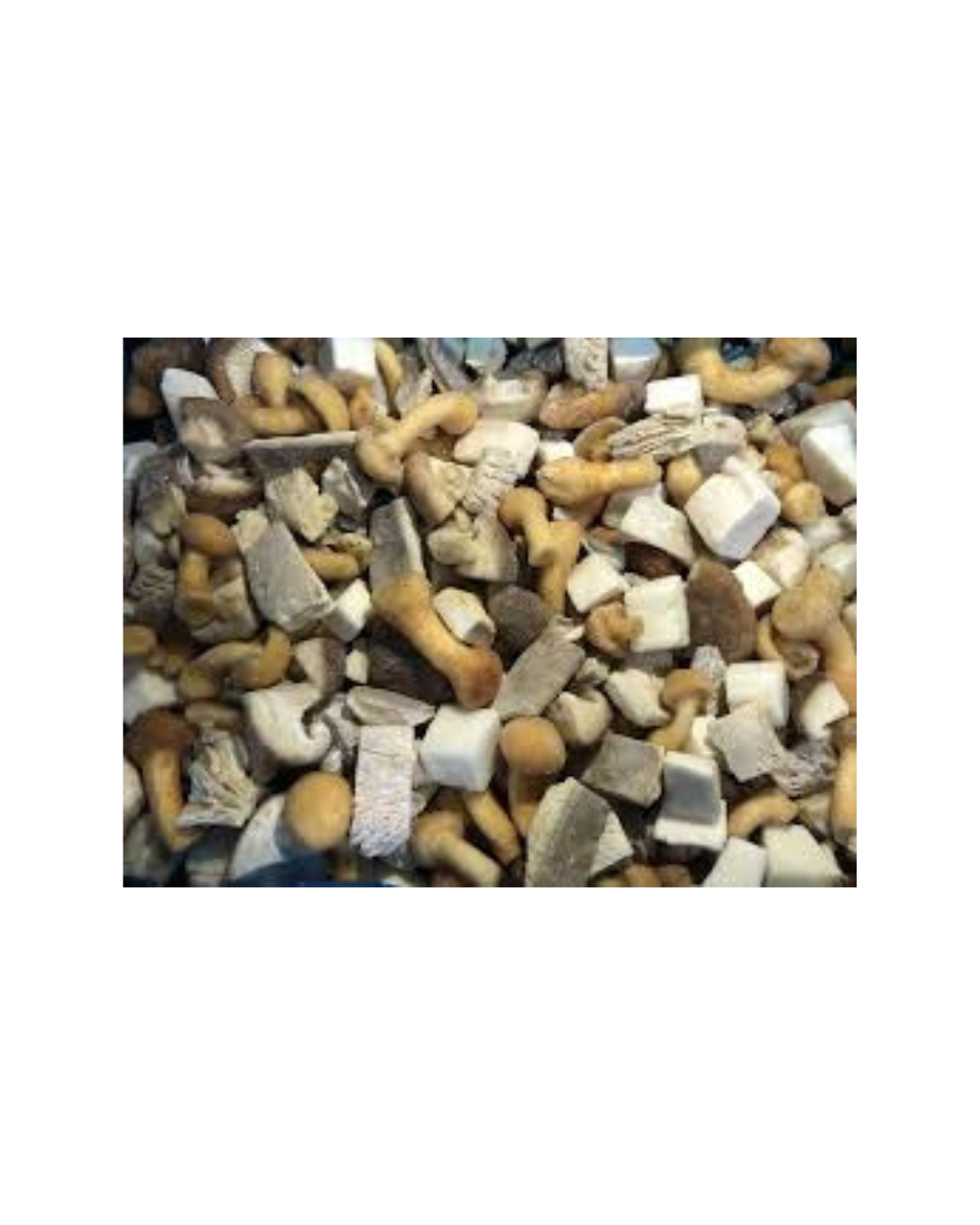 Mix Mushroom