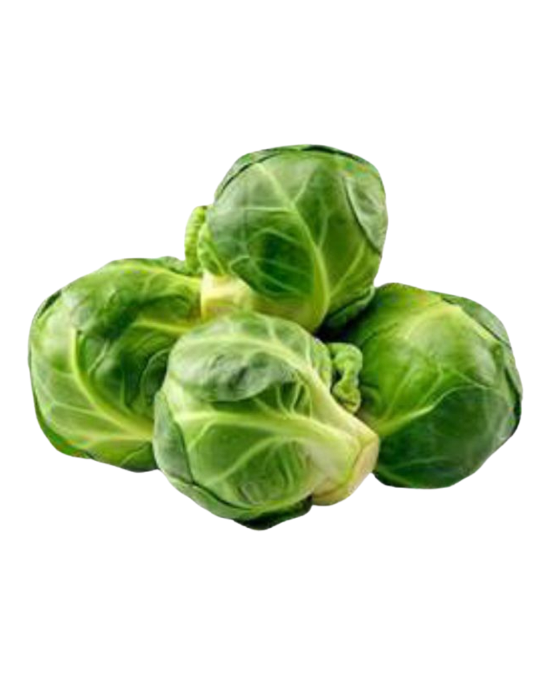Bruxel Sprouts