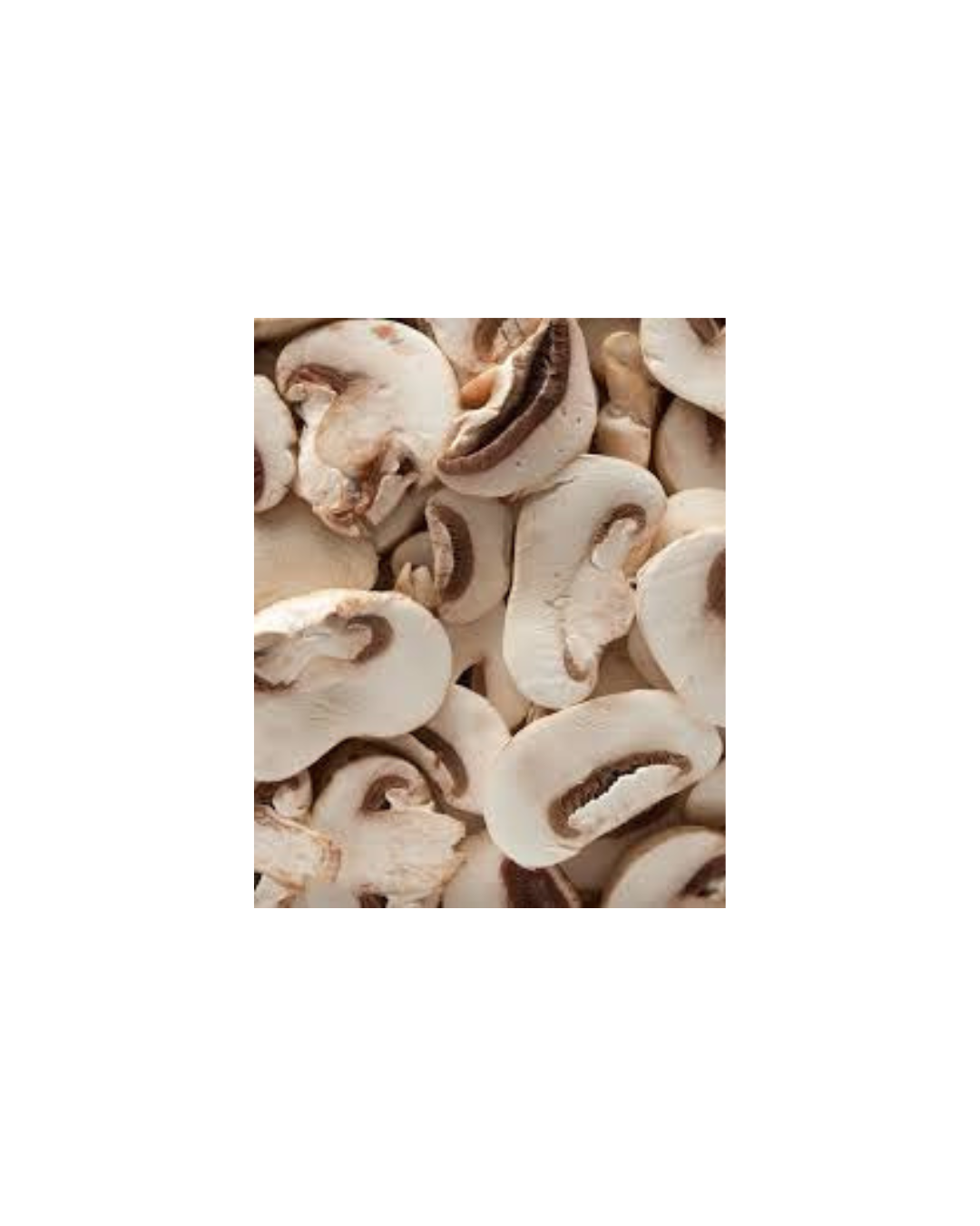 champignon de Paris
