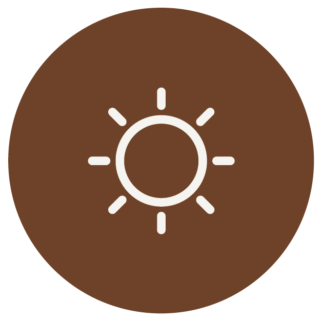 Icon of a sun with a circular center and lines radiating outward, on a brown circular background.
