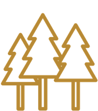 Outline of three pine trees with a gold color on a transparent background.