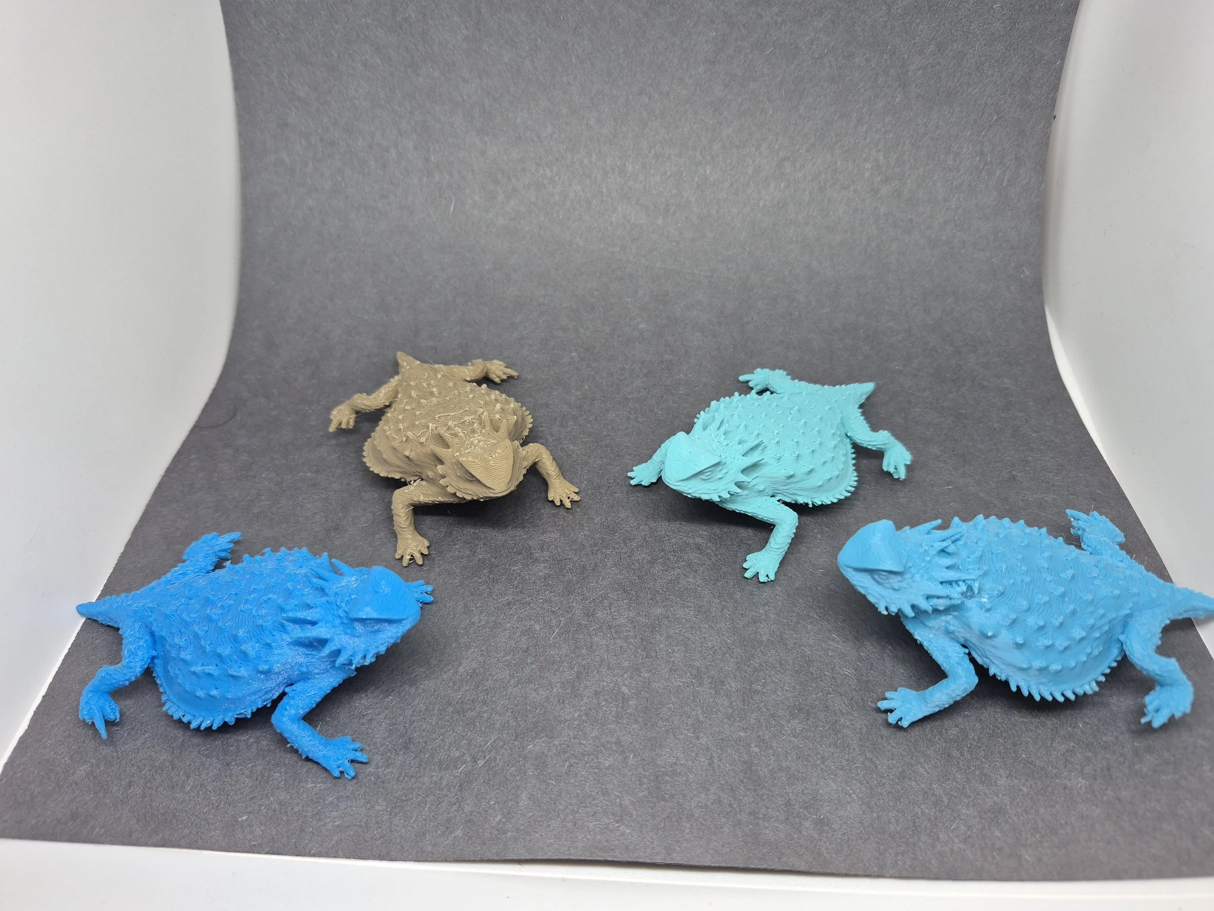 Cheii (Horned Toads)