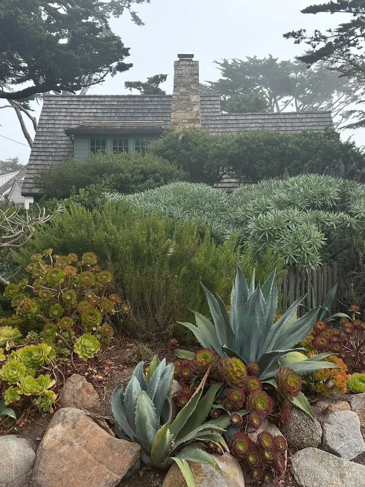 A few of my favorite captures in Carmel + Big Sur. If only I could get up there for a quick glimpse of wildflower season! 🌾✨🐑🌊🌼

With stays at @villamaracarmel @laplayaca @ventanabigsur @lepetitpali, you just cannot go wrong. 

Message me about p