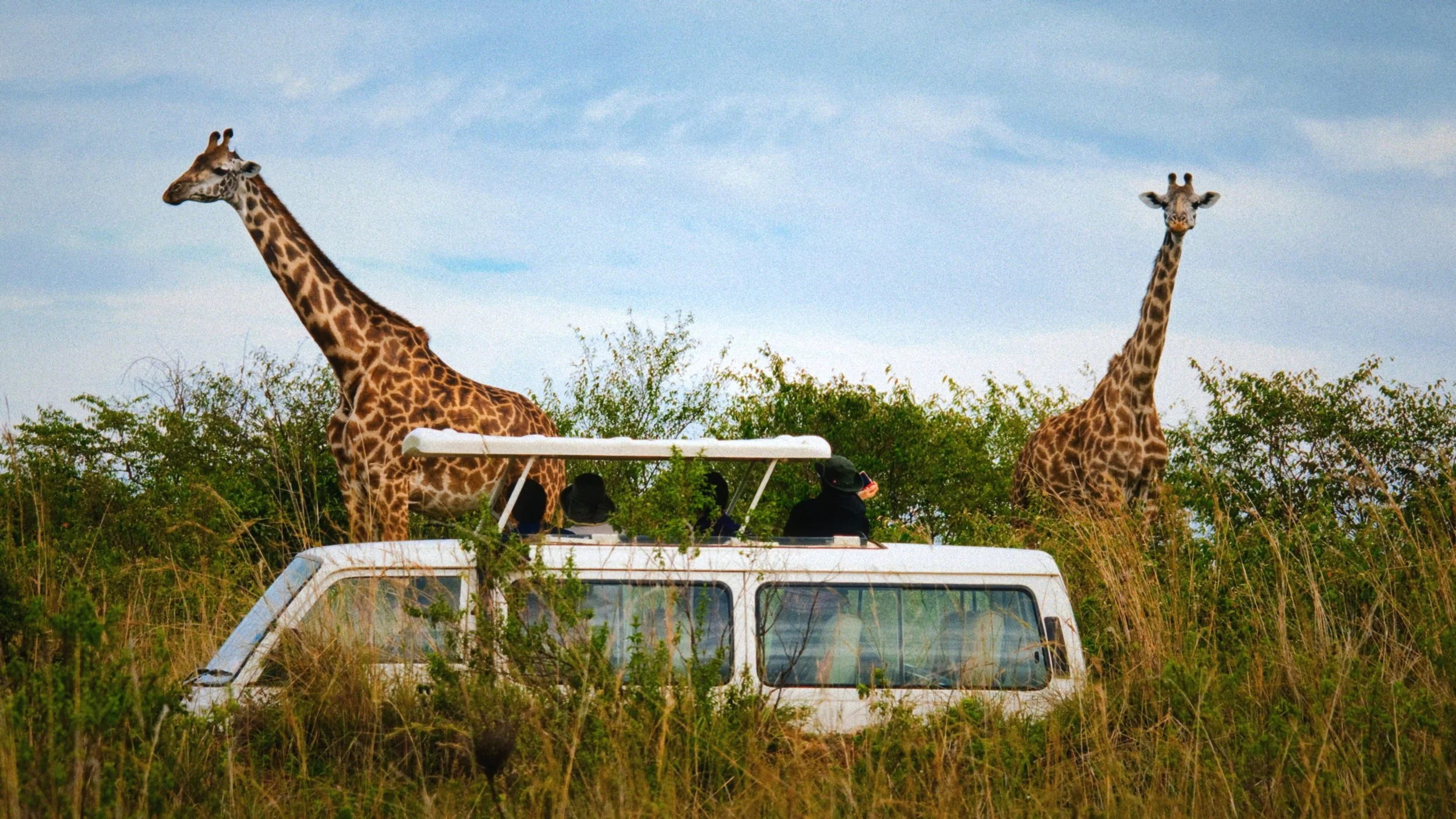 August summer travel hotspots 2026 — European festivals, safaris and tropics