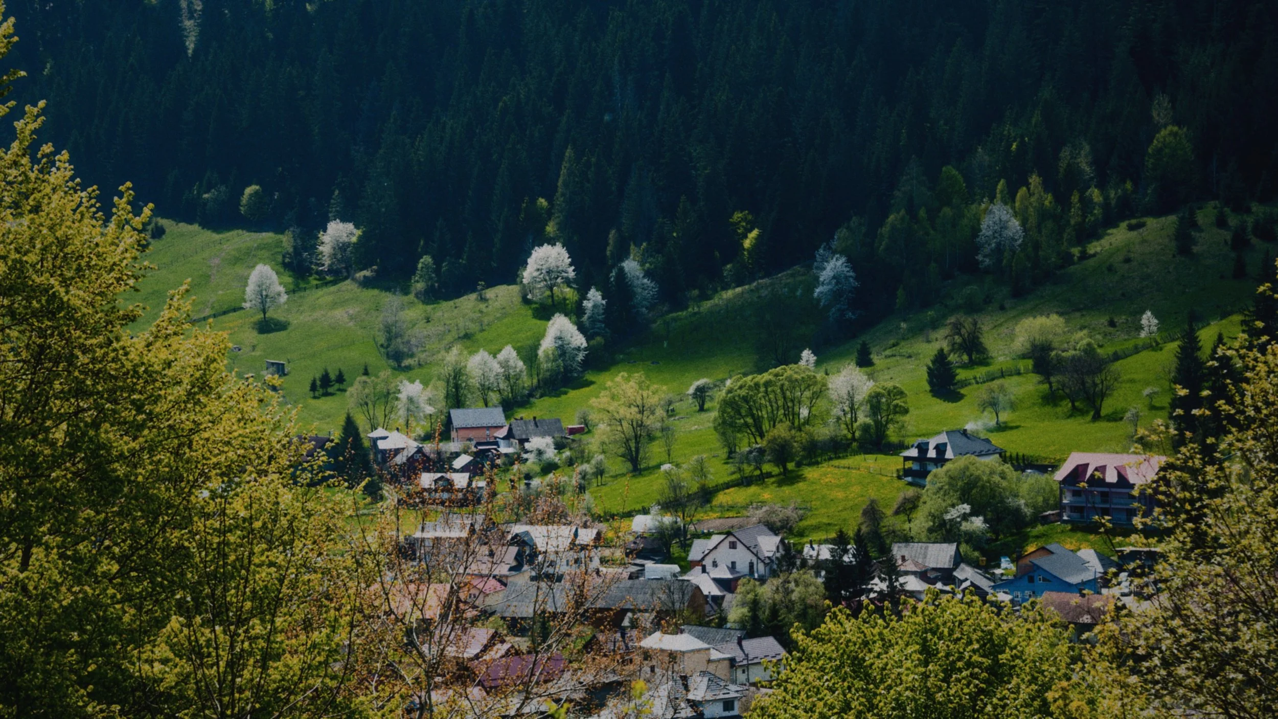 Bucovina: Bears, blizzards, and ancient beats — inside the wildest winter spectacle you’ve never heard of