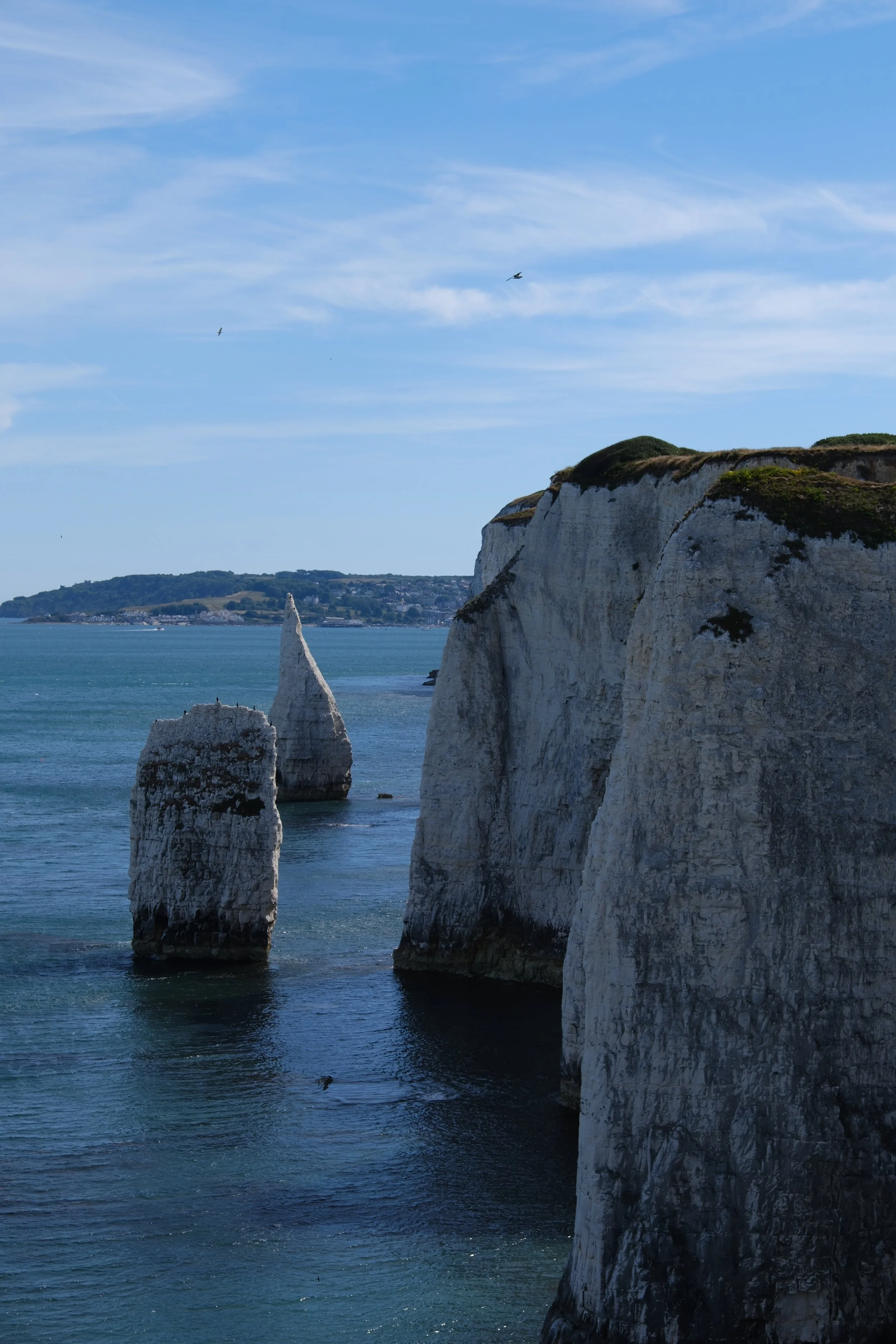 DSCF2089.jpg