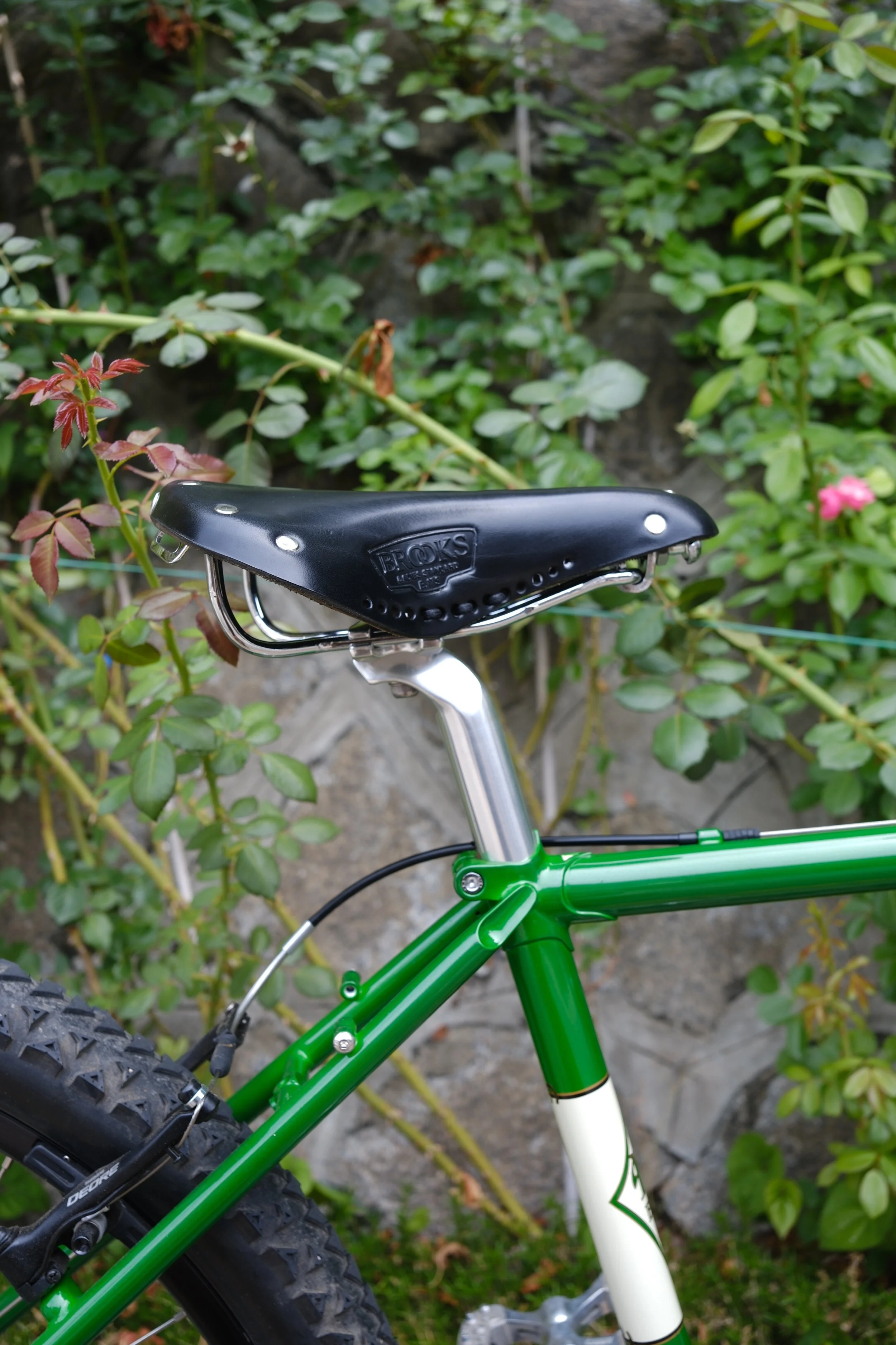DSCF1650.jpg