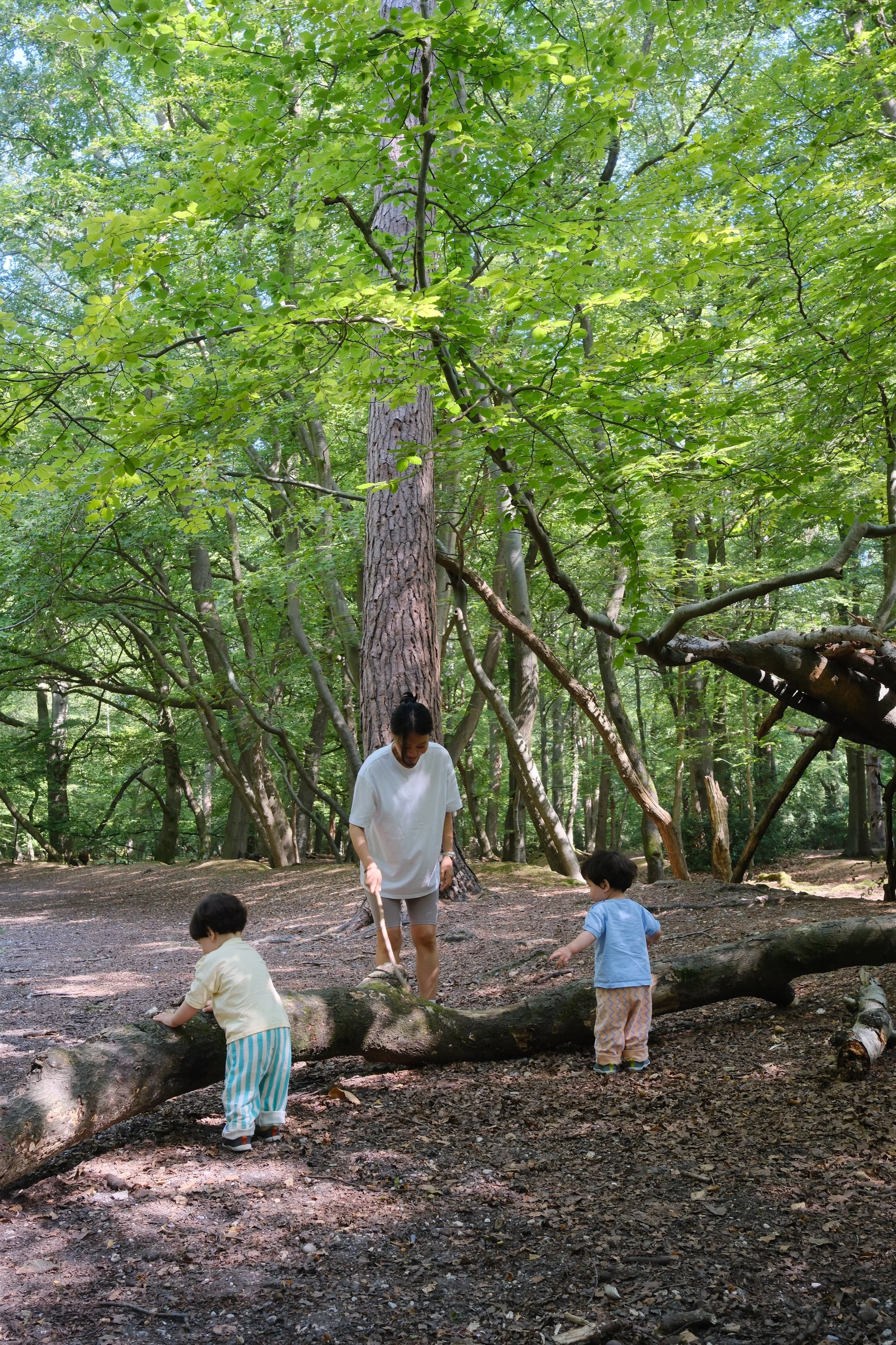 DSCF2571.jpg
