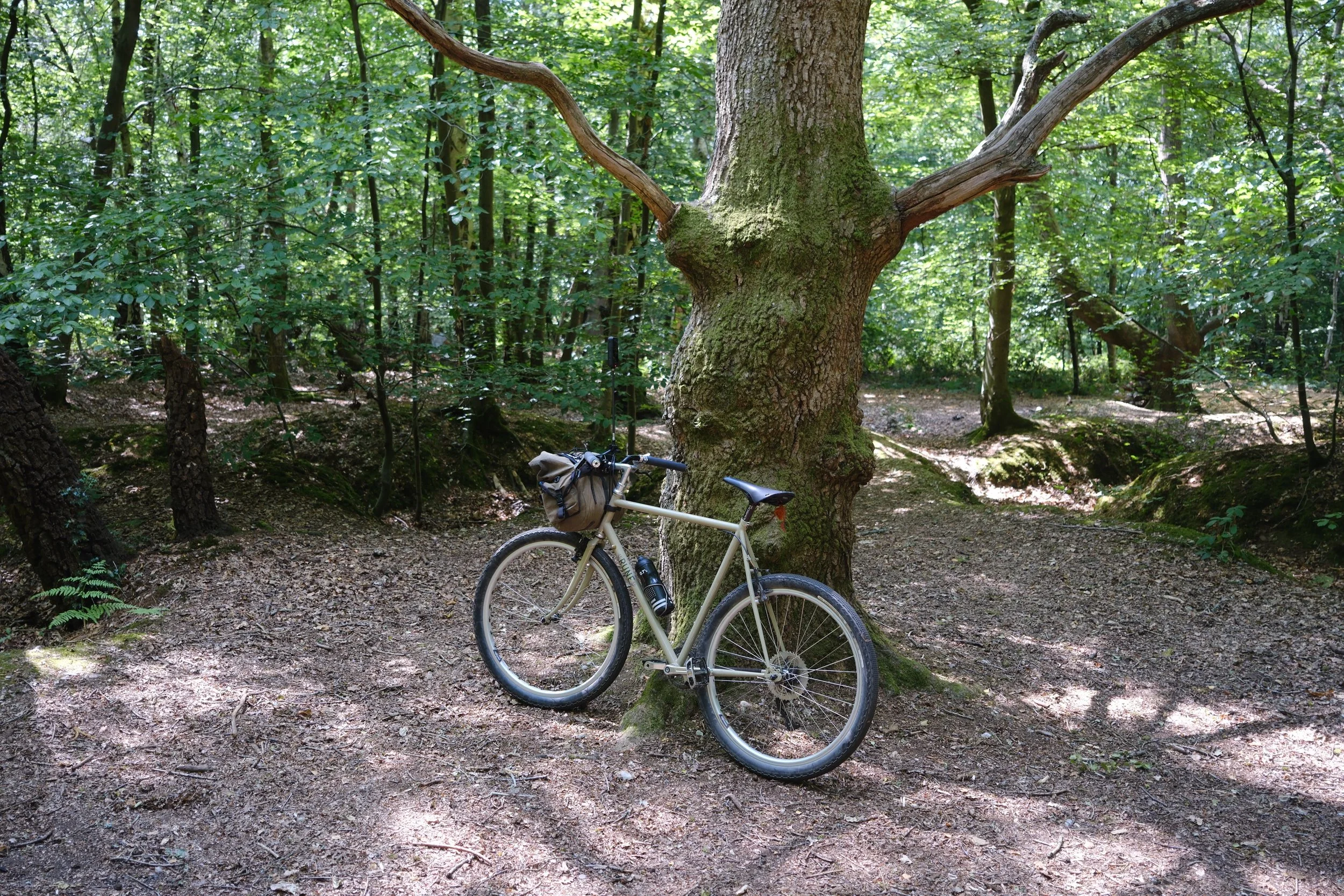 DSCF2628.jpg