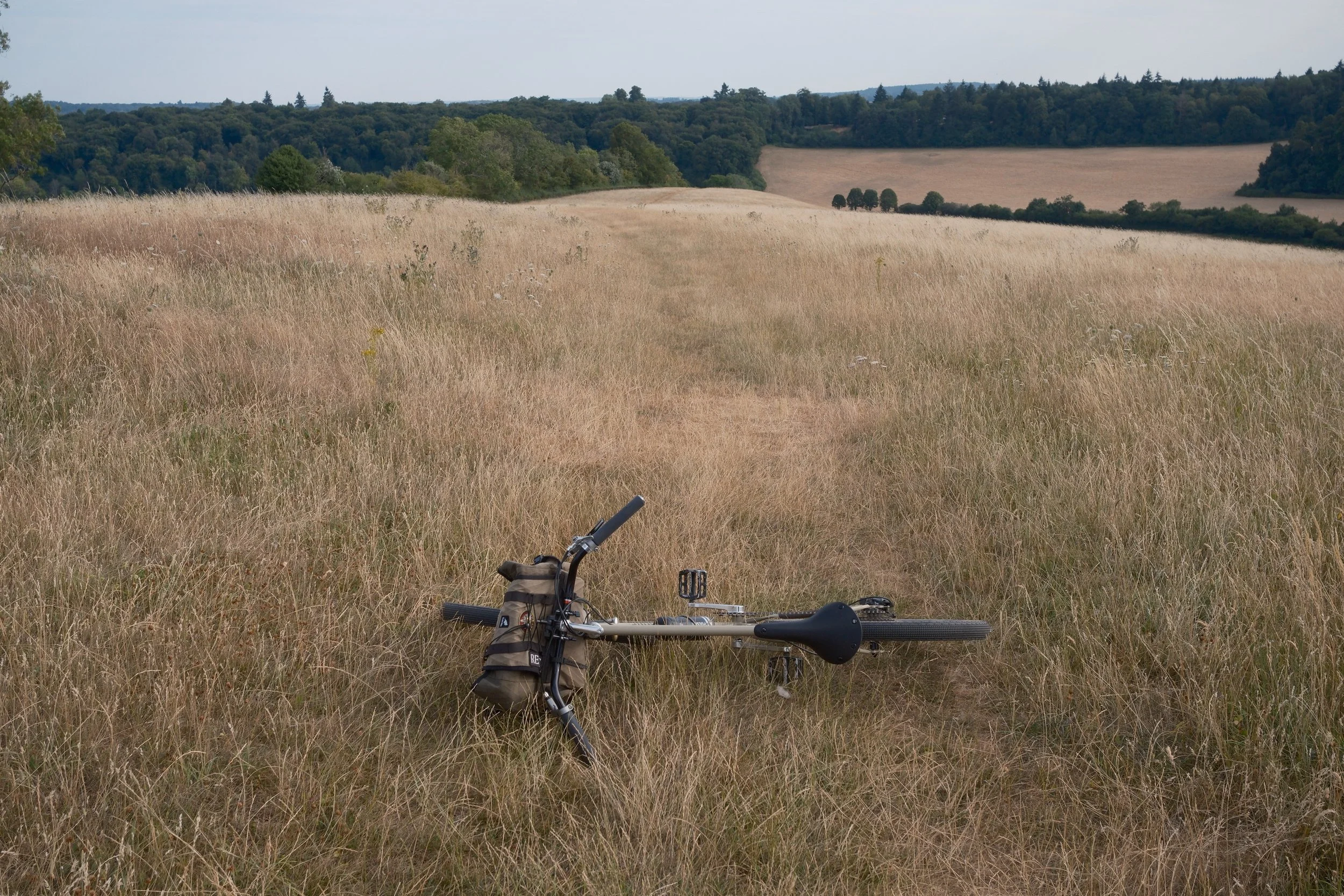 DSCF2953.jpg