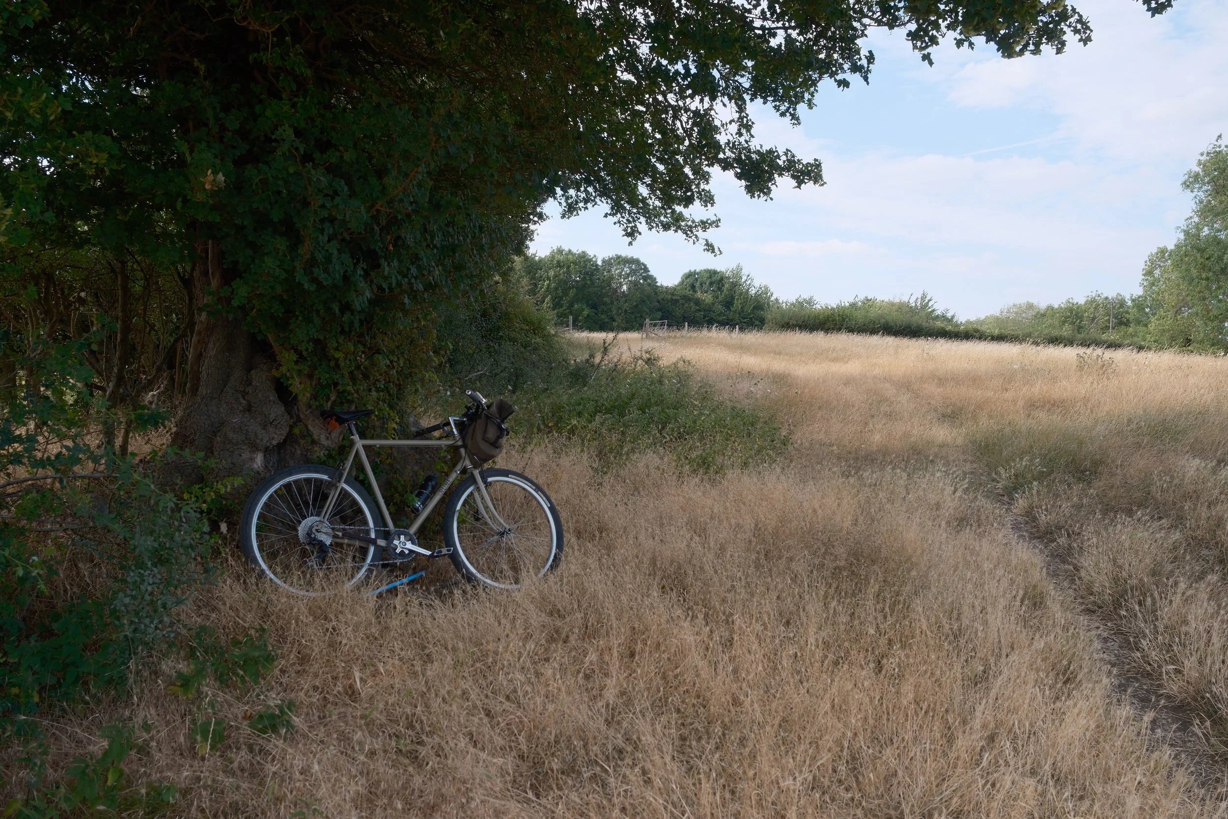 DSCF2957.jpg