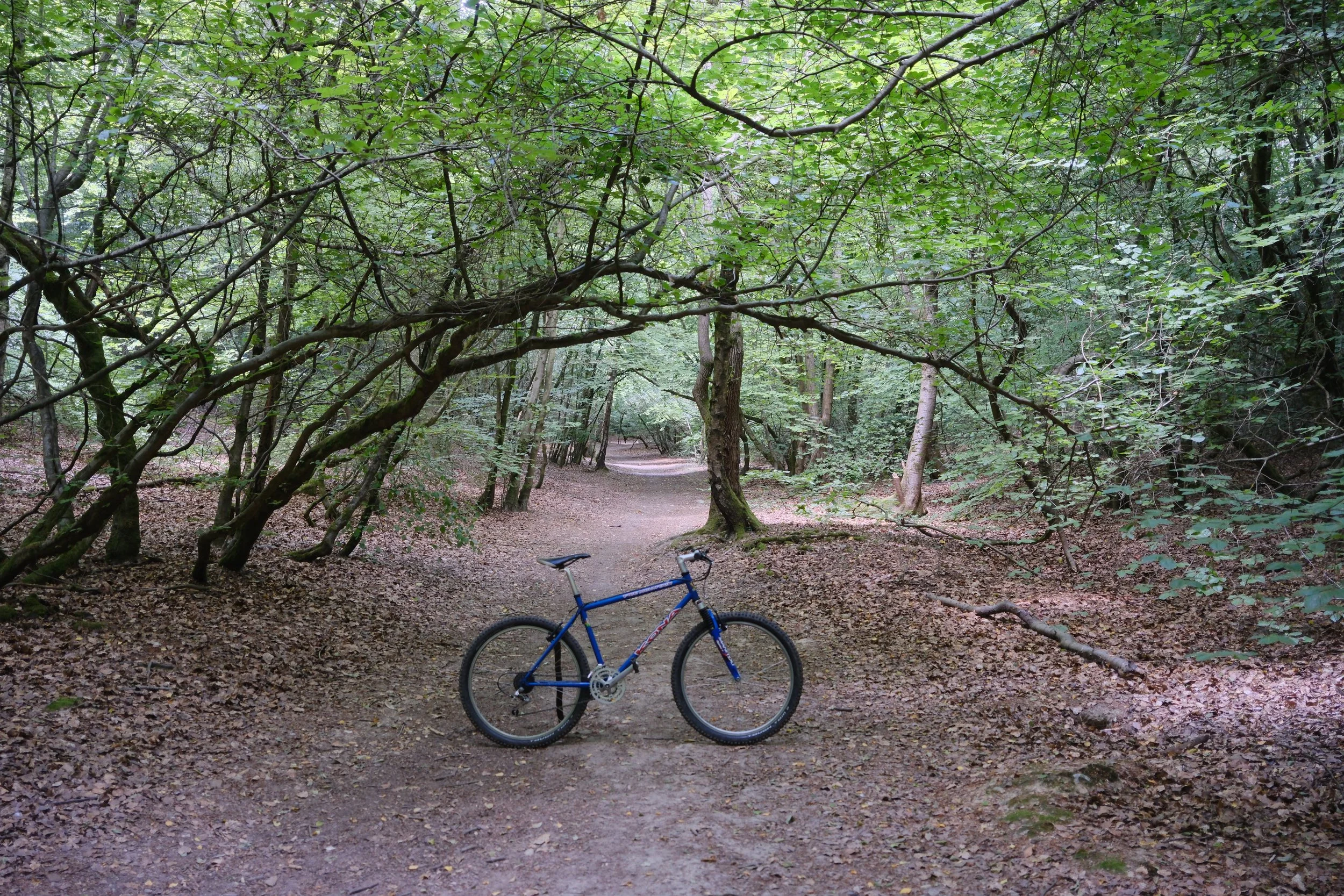 DSCF2965.jpg