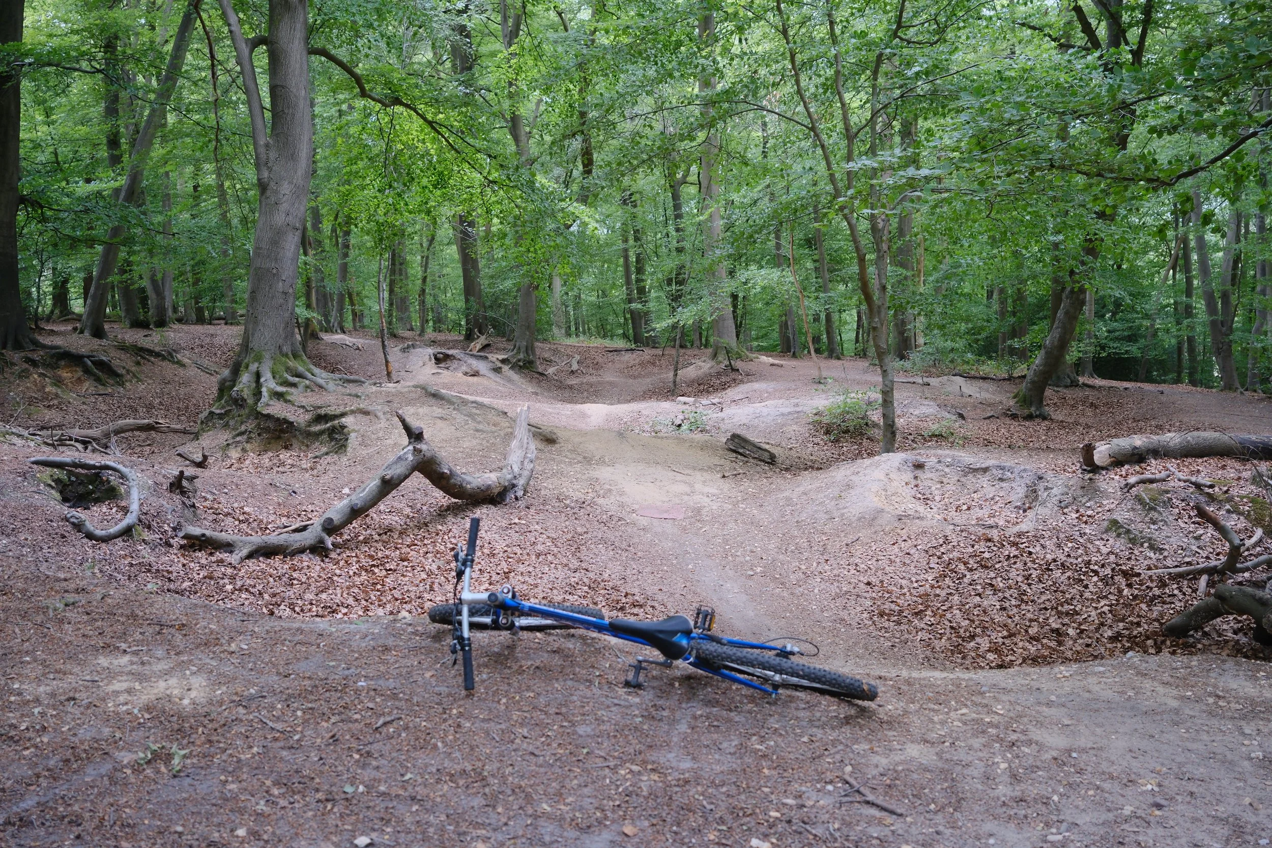 DSCF2976.jpg